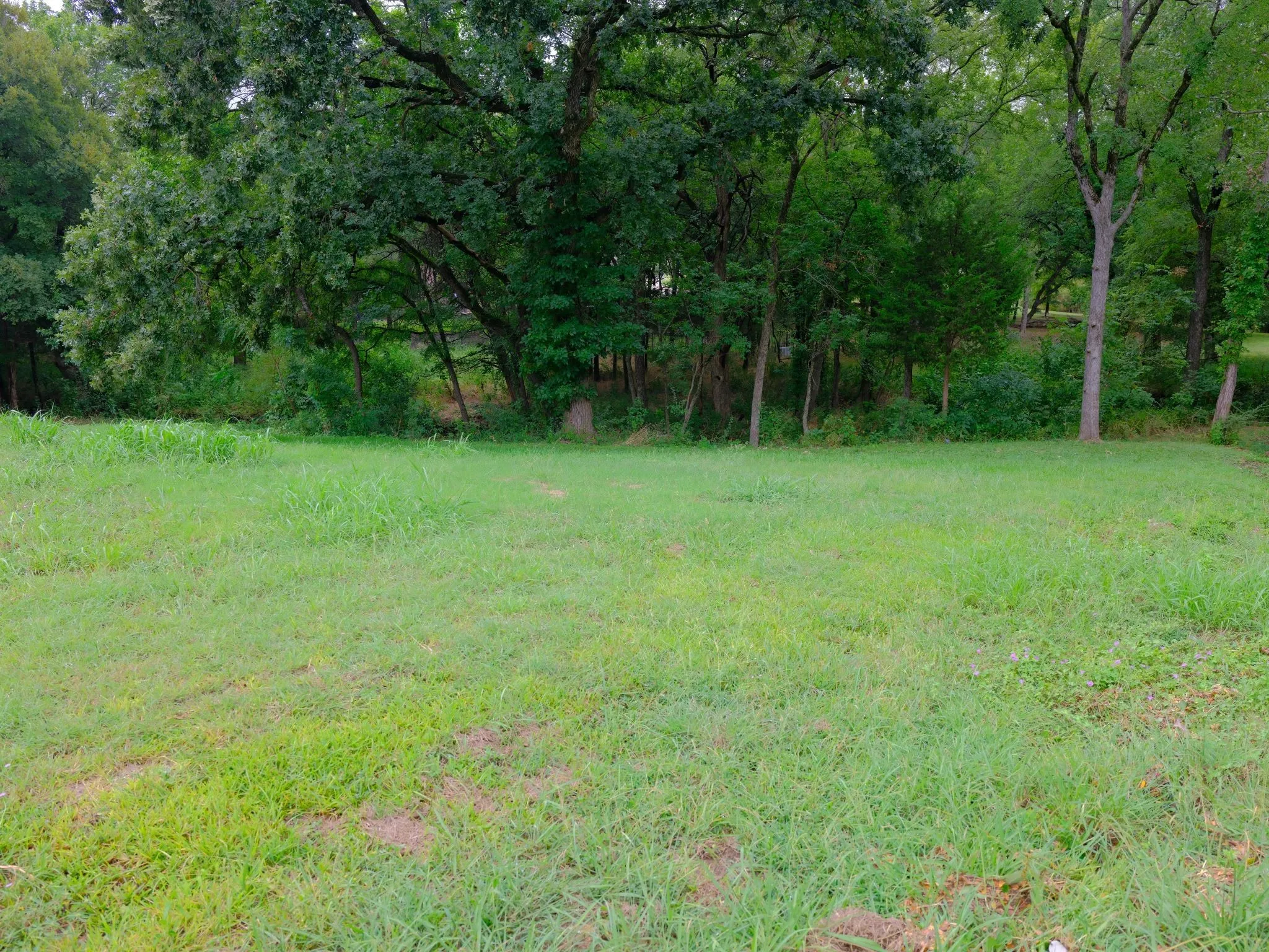 Unimproved Land For Sale in Ellis County , 2414 Summer Brook Court, Cedar Hill, Texas 75104, 0, 0, Garage spaces, 0 Sqft, built in 0, Price $148,000, mls#21048253, Real Estate Agent in Cedar Hill, Homes For Sale in Ellis county, Homes For Sale in Cedar Hill, Realtor in Cedar Hill Texas, Real Estate Brokerage Independent Realty Texas, Luminita Cordes Realtor