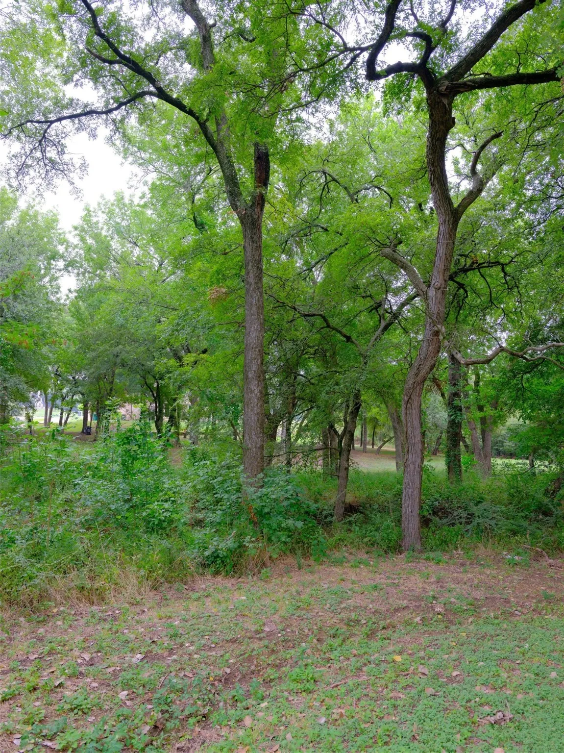 Unimproved Land For Sale in Ellis County , 2414 Summer Brook Court, Cedar Hill, Texas 75104, 0, 0, Garage spaces, 0 Sqft, built in 0, Price $148,000, mls#21048253, Real Estate Agent in Cedar Hill, Homes For Sale in Ellis county, Homes For Sale in Cedar Hill, Realtor in Cedar Hill Texas, Real Estate Brokerage Independent Realty Texas, Luminita Cordes Realtor