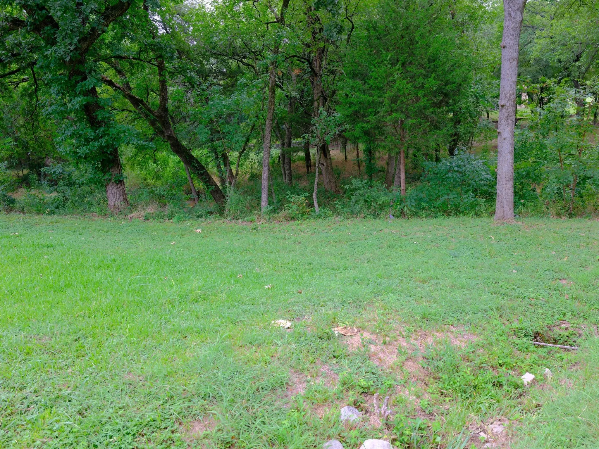 Unimproved Land For Sale in Ellis County , 2414 Summer Brook Court, Cedar Hill, Texas 75104, 0, 0, Garage spaces, 0 Sqft, built in 0, Price $148,000, mls#21048253, Real Estate Agent in Cedar Hill, Homes For Sale in Ellis county, Homes For Sale in Cedar Hill, Realtor in Cedar Hill Texas, Real Estate Brokerage Independent Realty Texas, Luminita Cordes Realtor