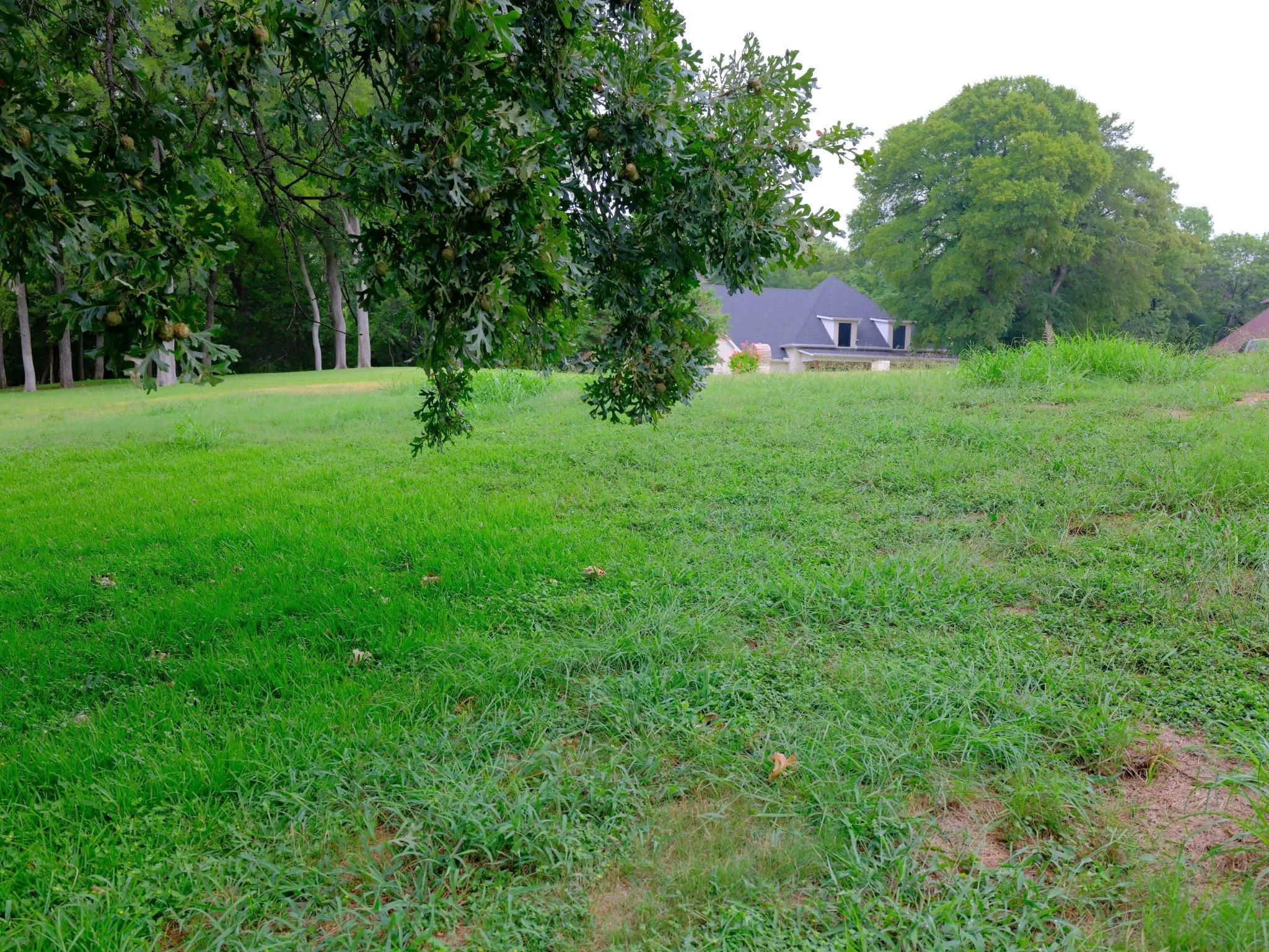 Unimproved Land For Sale in Ellis County , 2414 Summer Brook Court, Cedar Hill, Texas 75104, 0, 0, Garage spaces, 0 Sqft, built in 0, Price $148,000, mls#21048253, Real Estate Agent in Cedar Hill, Homes For Sale in Ellis county, Homes For Sale in Cedar Hill, Realtor in Cedar Hill Texas, Real Estate Brokerage Independent Realty Texas, Luminita Cordes Realtor