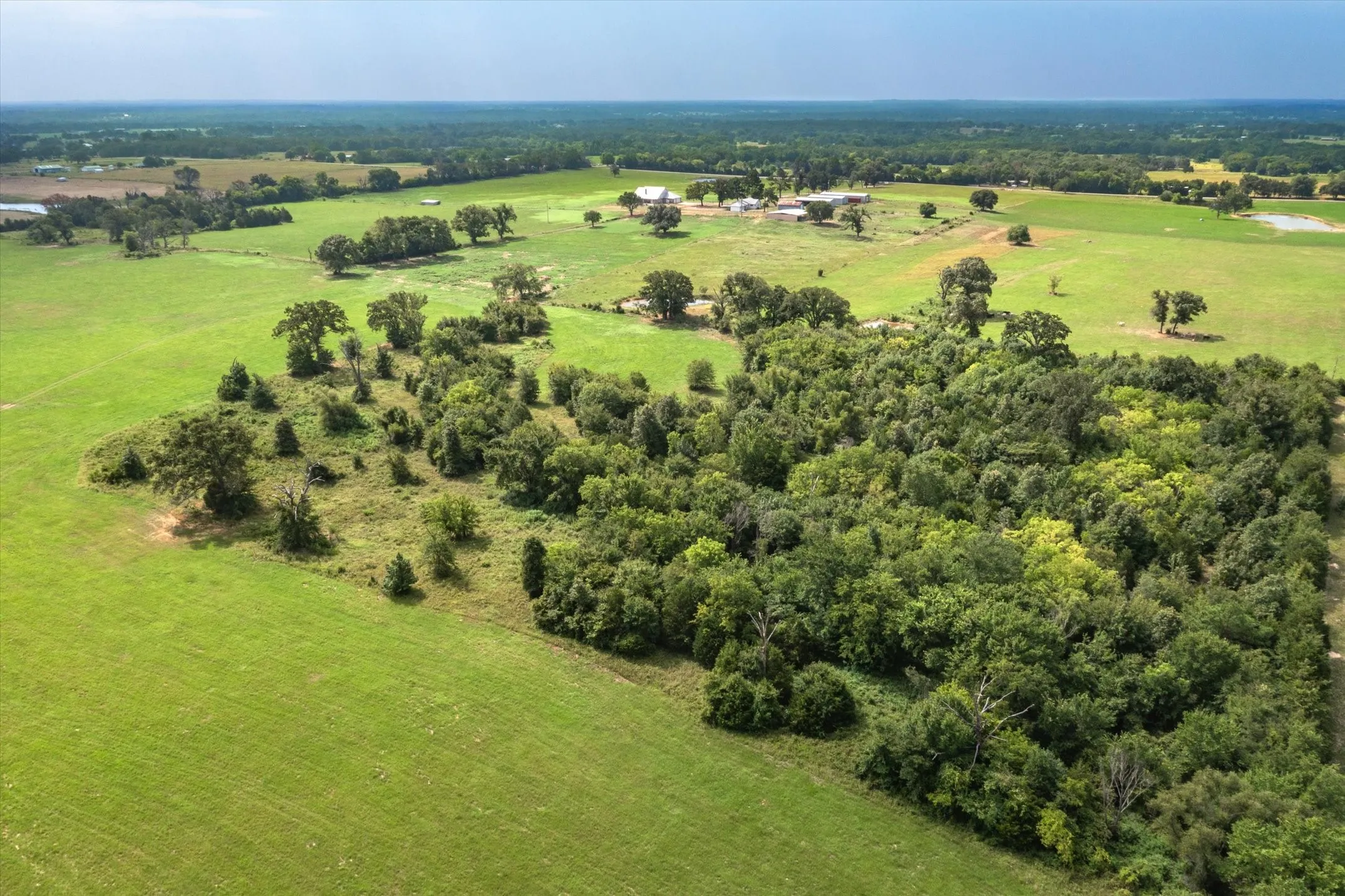 Ranch For Sale in Van Zandt County , TBD VZ County Road 1820, Grand Saline, Texas 75140, 0, 0, Garage spaces, 0 Sqft, built in 0, mls#21051117, Real Estate Agent in Grand Saline, Homes For Sale in Van Zandt county, Homes For Sale in Grand Saline, Realtor in Grand Saline Texas, Real Estate Brokerage Independent Realty Texas, Luminita Cordes Realtor