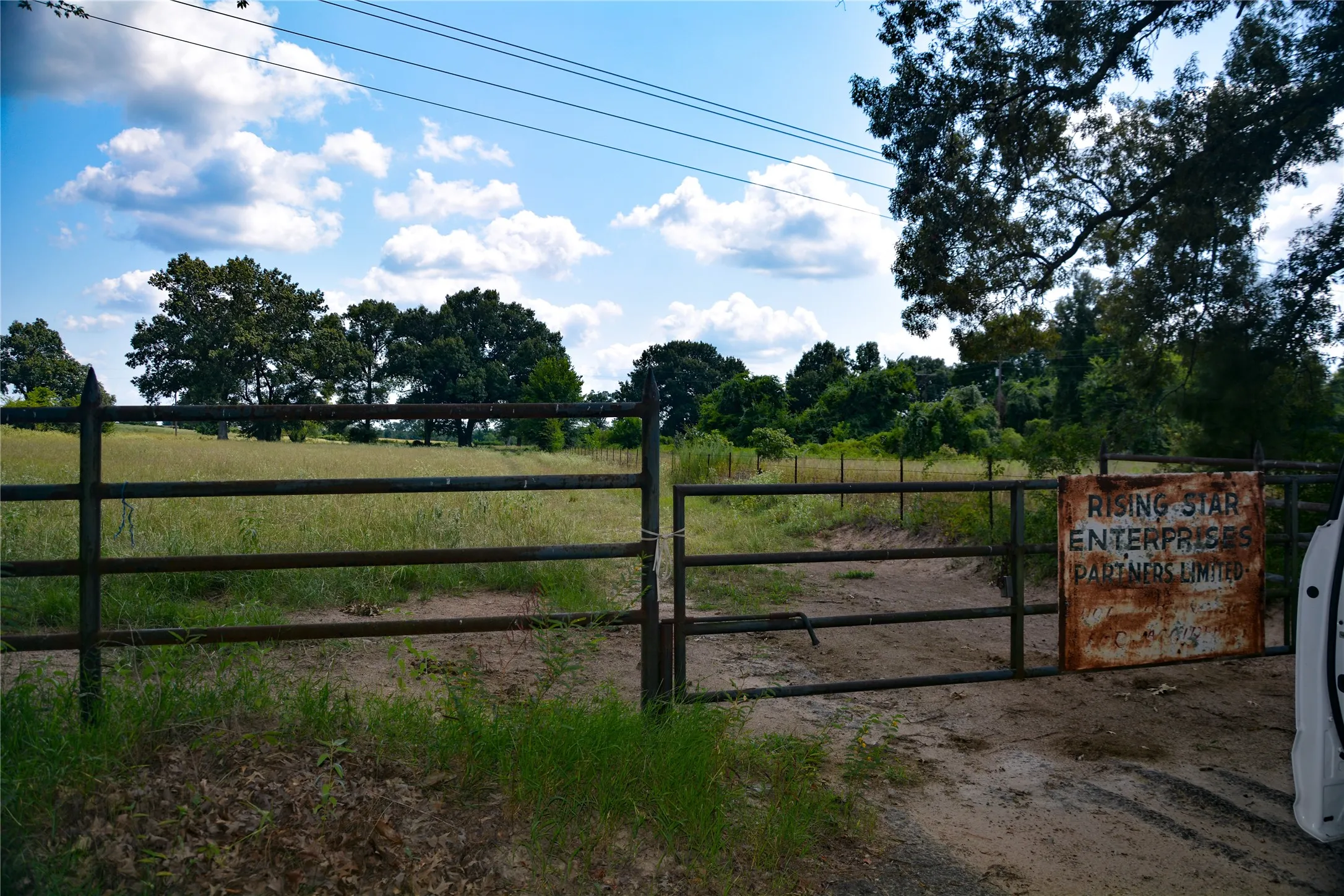 Ranch For Sale in Van Zandt County , TBD VZ County Road 1820, Grand Saline, Texas 75140, 0, 0, Garage spaces, 0 Sqft, built in 0, mls#21051117, Real Estate Agent in Grand Saline, Homes For Sale in Van Zandt county, Homes For Sale in Grand Saline, Realtor in Grand Saline Texas, Real Estate Brokerage Independent Realty Texas, Luminita Cordes Realtor