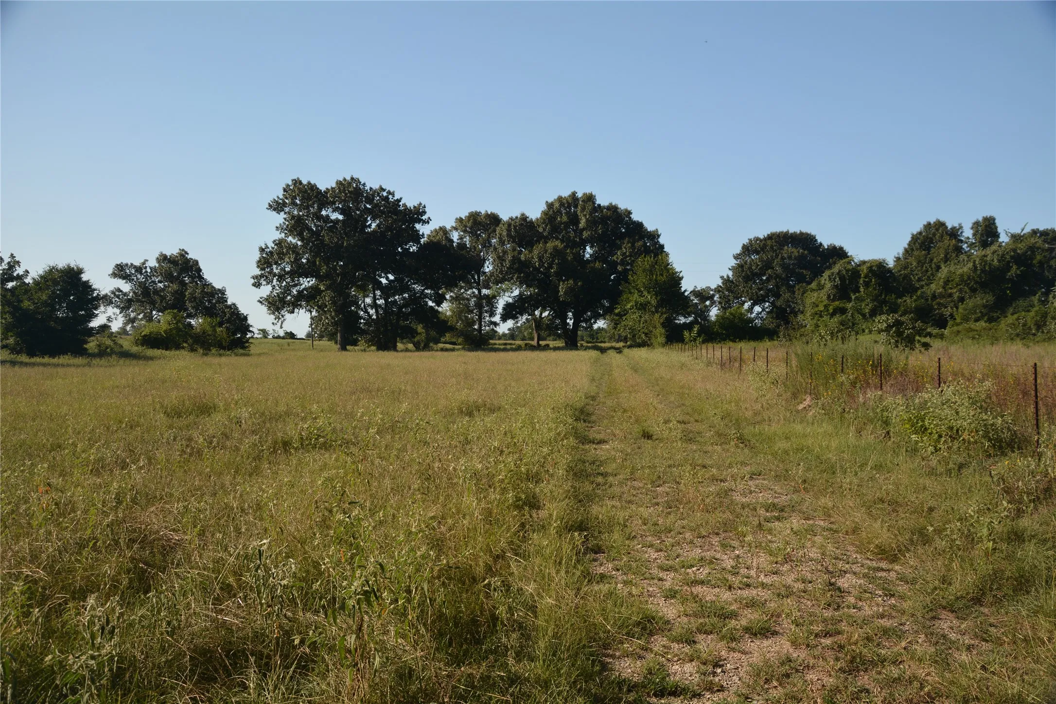 Ranch For Sale in Van Zandt County , TBD VZ County Road 1820, Grand Saline, Texas 75140, 0, 0, Garage spaces, 0 Sqft, built in 0, mls#21051117, Real Estate Agent in Grand Saline, Homes For Sale in Van Zandt county, Homes For Sale in Grand Saline, Realtor in Grand Saline Texas, Real Estate Brokerage Independent Realty Texas, Luminita Cordes Realtor