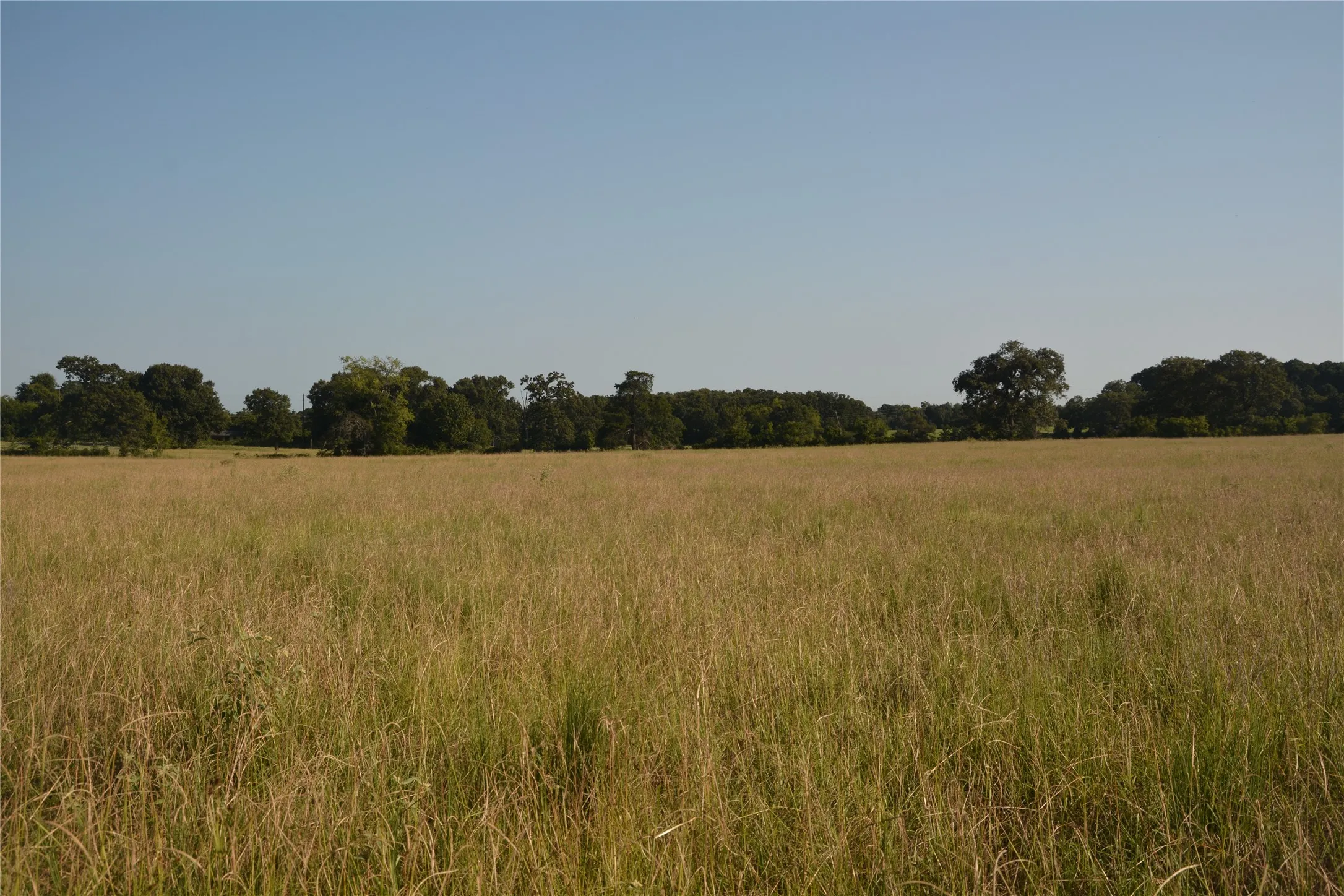 Ranch For Sale in Van Zandt County , TBD VZ County Road 1820, Grand Saline, Texas 75140, 0, 0, Garage spaces, 0 Sqft, built in 0, mls#21051117, Real Estate Agent in Grand Saline, Homes For Sale in Van Zandt county, Homes For Sale in Grand Saline, Realtor in Grand Saline Texas, Real Estate Brokerage Independent Realty Texas, Luminita Cordes Realtor