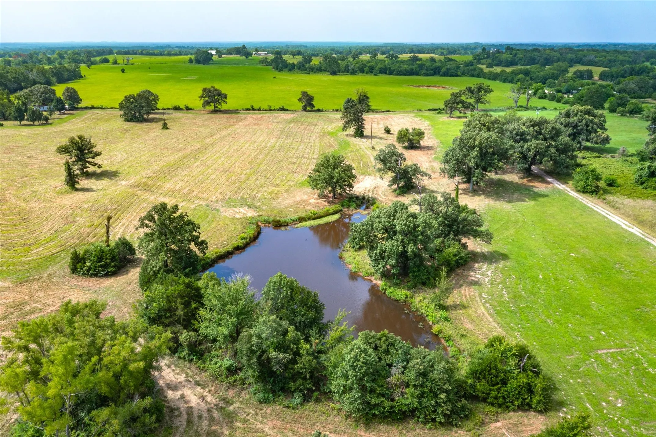 Ranch For Sale in Van Zandt County , TBD VZ County Road 1820, Grand Saline, Texas 75140, 0, 0, Garage spaces, 0 Sqft, built in 0, mls#21051117, Real Estate Agent in Grand Saline, Homes For Sale in Van Zandt county, Homes For Sale in Grand Saline, Realtor in Grand Saline Texas, Real Estate Brokerage Independent Realty Texas, Luminita Cordes Realtor
