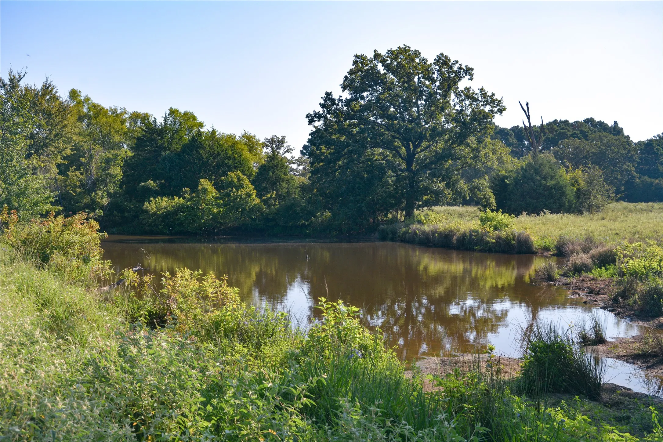 Ranch For Sale in Van Zandt County , TBD VZ County Road 1820, Grand Saline, Texas 75140, 0, 0, Garage spaces, 0 Sqft, built in 0, mls#21051117, Real Estate Agent in Grand Saline, Homes For Sale in Van Zandt county, Homes For Sale in Grand Saline, Realtor in Grand Saline Texas, Real Estate Brokerage Independent Realty Texas, Luminita Cordes Realtor