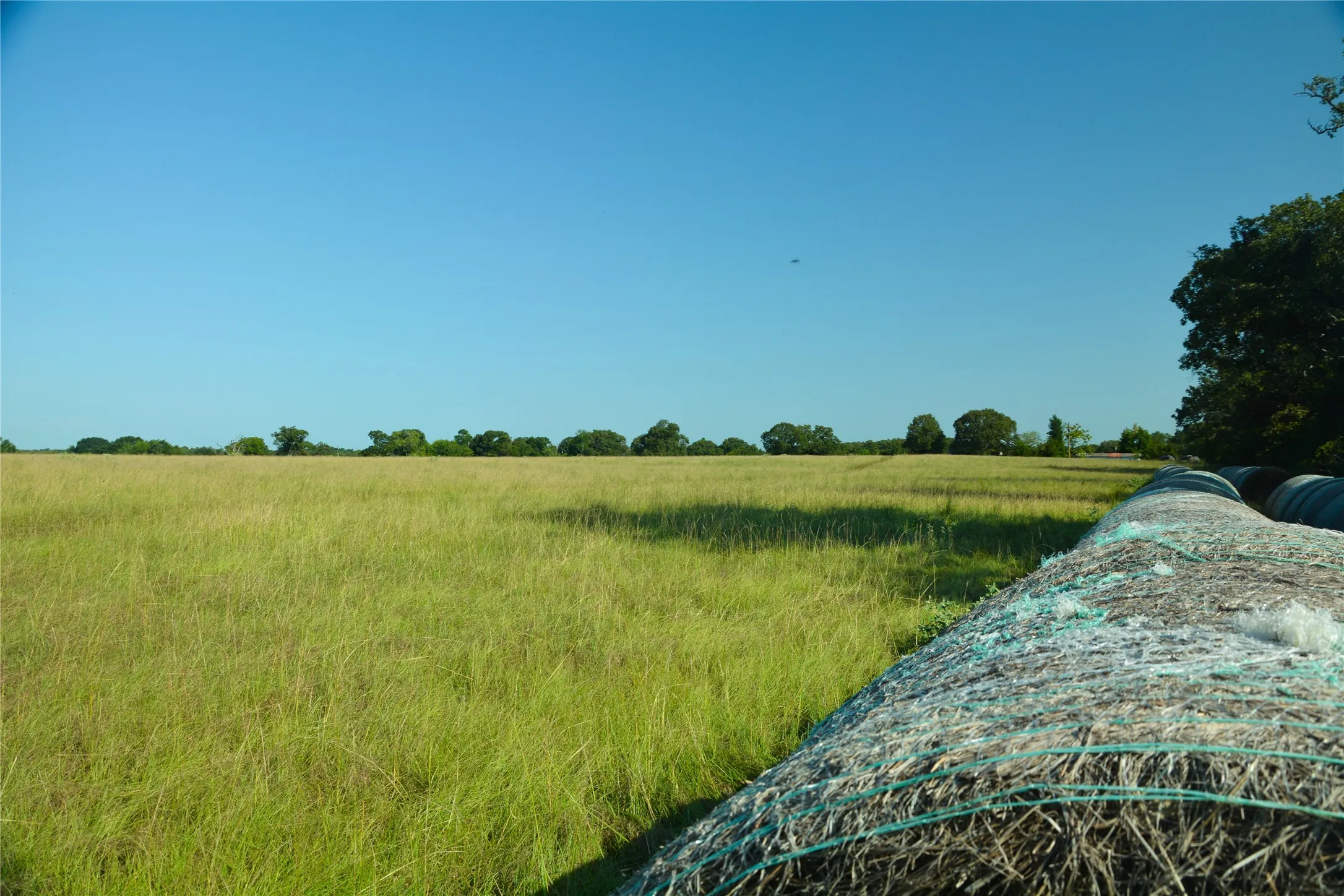 Ranch For Sale in Van Zandt County , TBD VZ County Road 1821, Grand Saline, Texas 75140, 0, 0, Garage spaces, 0 Sqft, built in 0, mls#21051402, Real Estate Agent in Grand Saline, Homes For Sale in Van Zandt county, Homes For Sale in Grand Saline, Realtor in Grand Saline Texas, Real Estate Brokerage Independent Realty Texas, Luminita Cordes Realtor