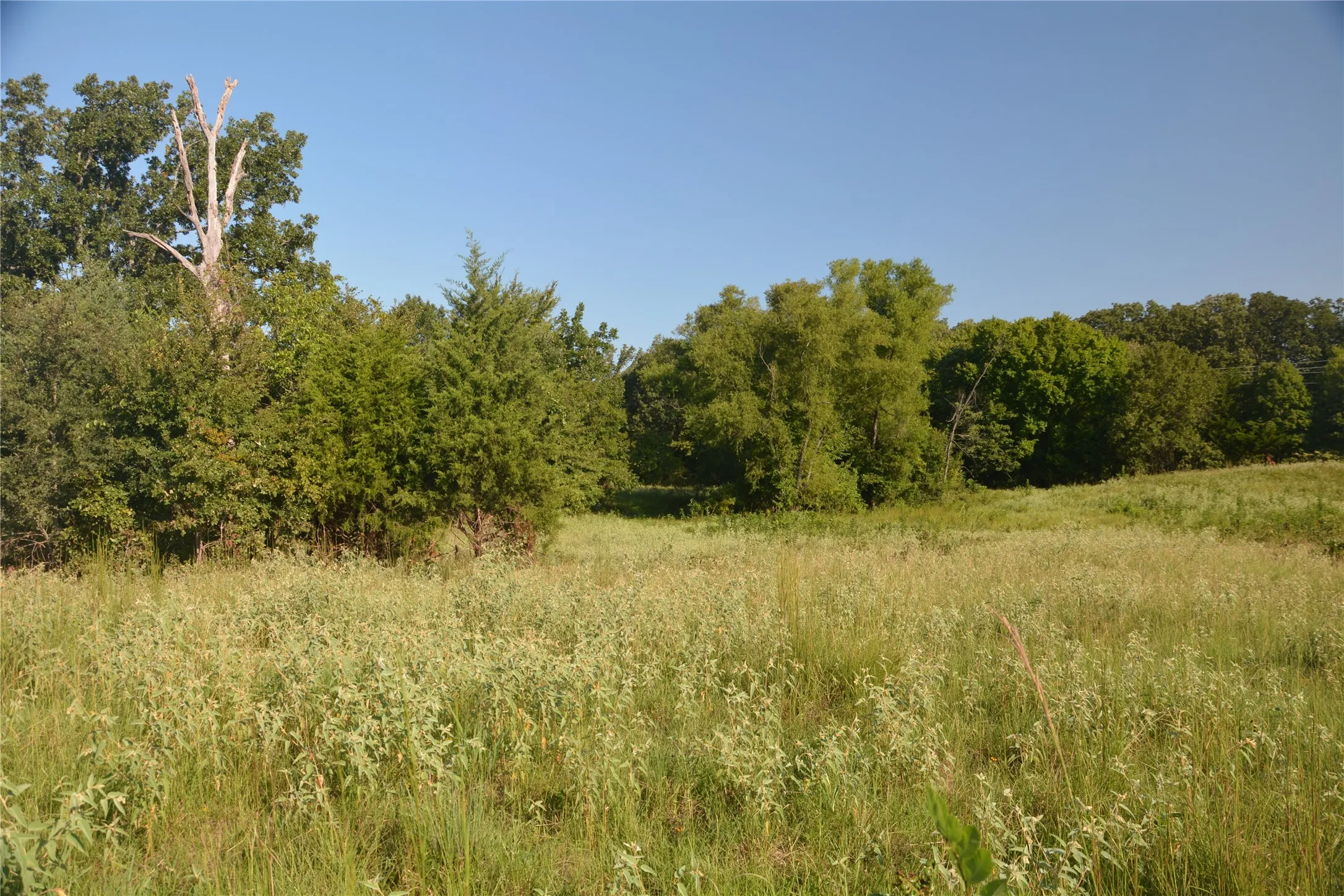 Ranch For Sale in Van Zandt County , TBD VZ County Road 1821, Grand Saline, Texas 75140, 0, 0, Garage spaces, 0 Sqft, built in 0, mls#21051402, Real Estate Agent in Grand Saline, Homes For Sale in Van Zandt county, Homes For Sale in Grand Saline, Realtor in Grand Saline Texas, Real Estate Brokerage Independent Realty Texas, Luminita Cordes Realtor