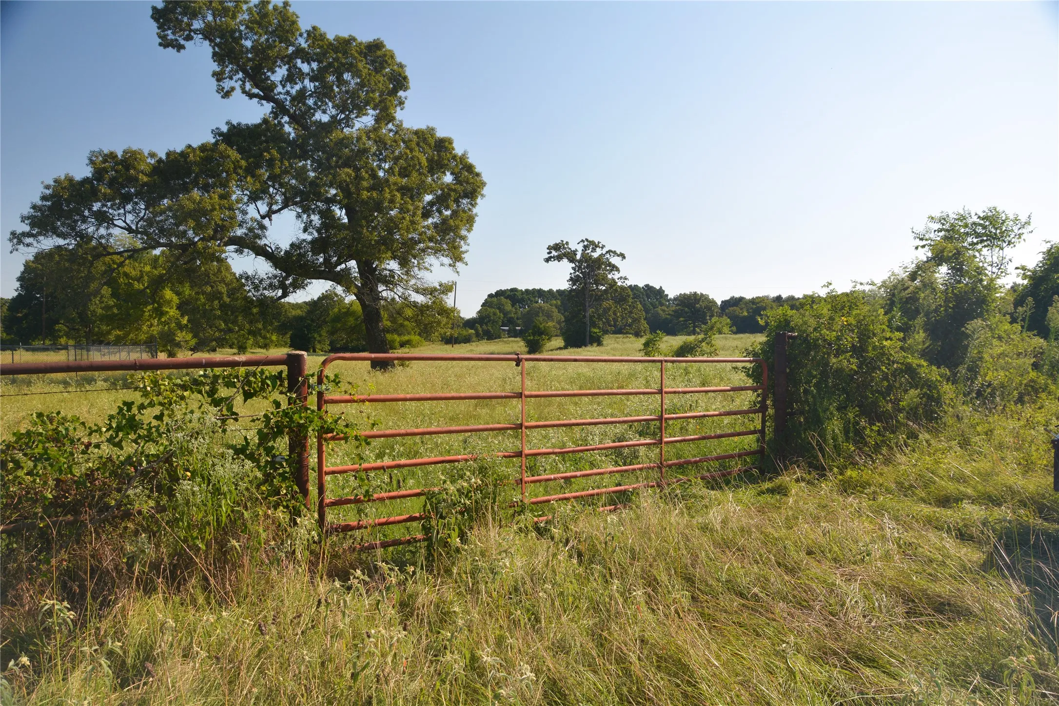 Ranch For Sale in Van Zandt County , TBD VZ County Road 1821, Grand Saline, Texas 75140, 0, 0, Garage spaces, 0 Sqft, built in 0, mls#21051402, Real Estate Agent in Grand Saline, Homes For Sale in Van Zandt county, Homes For Sale in Grand Saline, Realtor in Grand Saline Texas, Real Estate Brokerage Independent Realty Texas, Luminita Cordes Realtor