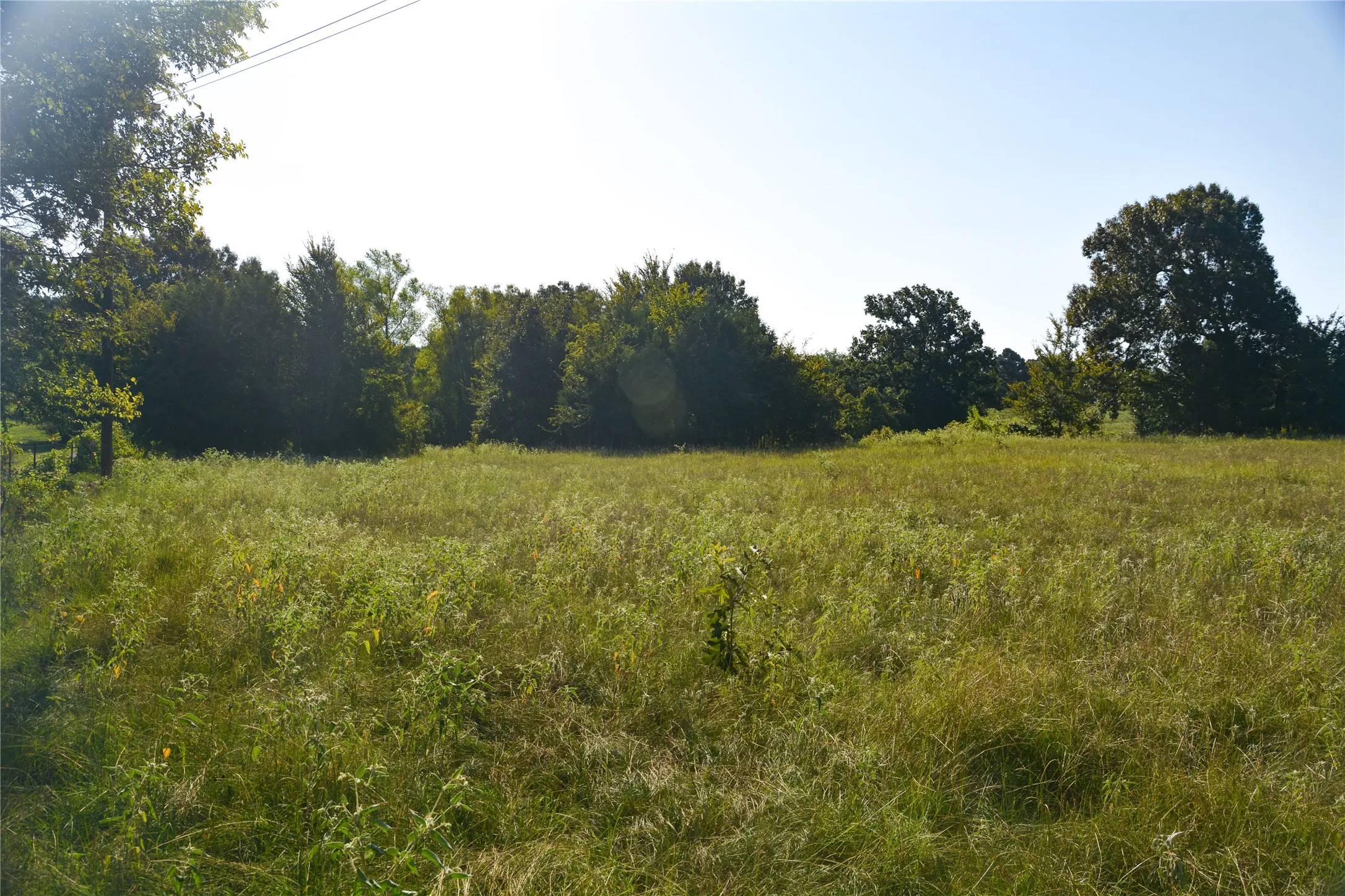 Ranch For Sale in Van Zandt County , TBD VZ County Road 1821, Grand Saline, Texas 75140, 0, 0, Garage spaces, 0 Sqft, built in 0, mls#21051402, Real Estate Agent in Grand Saline, Homes For Sale in Van Zandt county, Homes For Sale in Grand Saline, Realtor in Grand Saline Texas, Real Estate Brokerage Independent Realty Texas, Luminita Cordes Realtor
