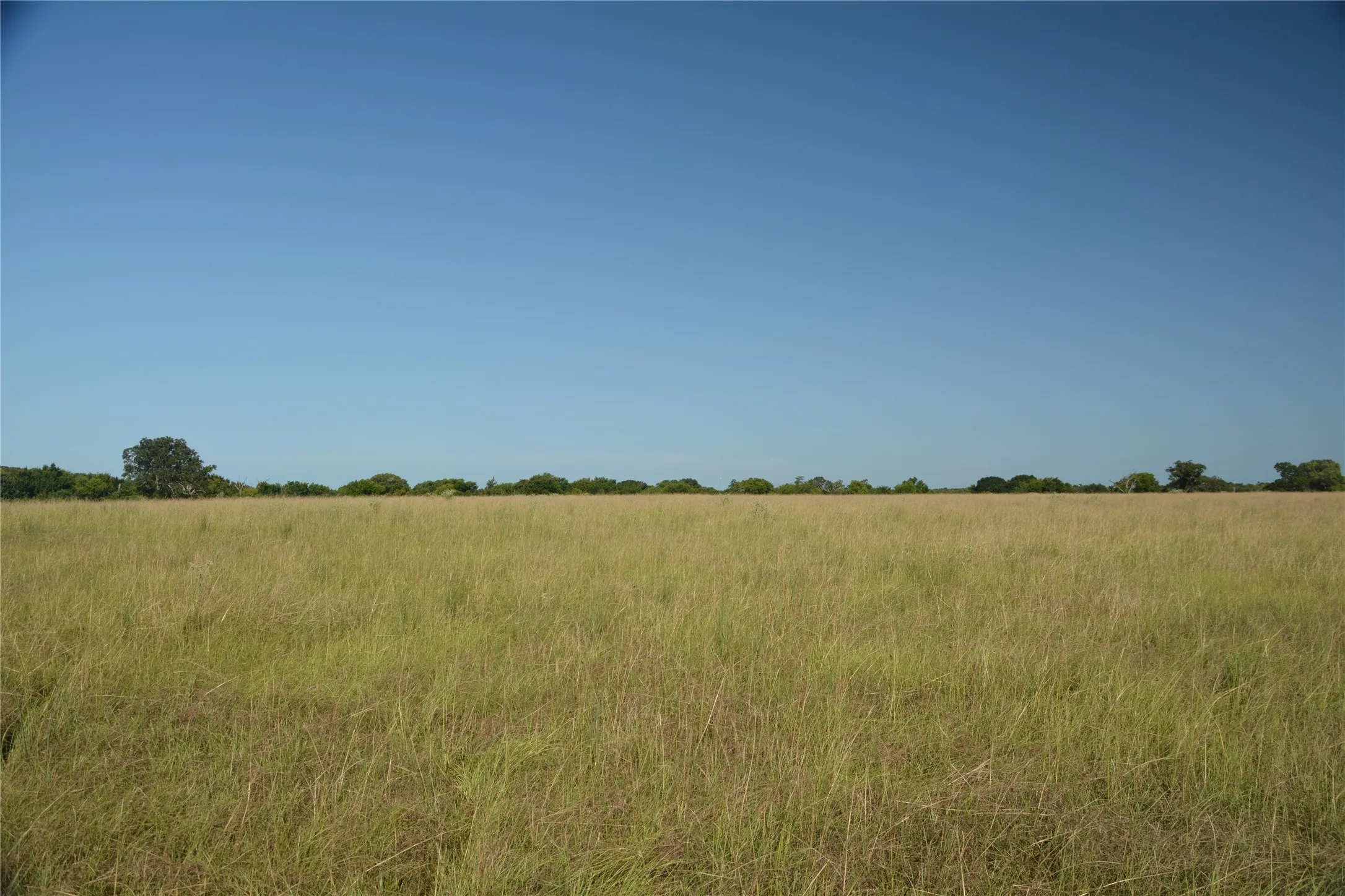 Ranch For Sale in Van Zandt County , TBD VZ County Road 1821, Grand Saline, Texas 75140, 0, 0, Garage spaces, 0 Sqft, built in 0, mls#21051402, Real Estate Agent in Grand Saline, Homes For Sale in Van Zandt county, Homes For Sale in Grand Saline, Realtor in Grand Saline Texas, Real Estate Brokerage Independent Realty Texas, Luminita Cordes Realtor