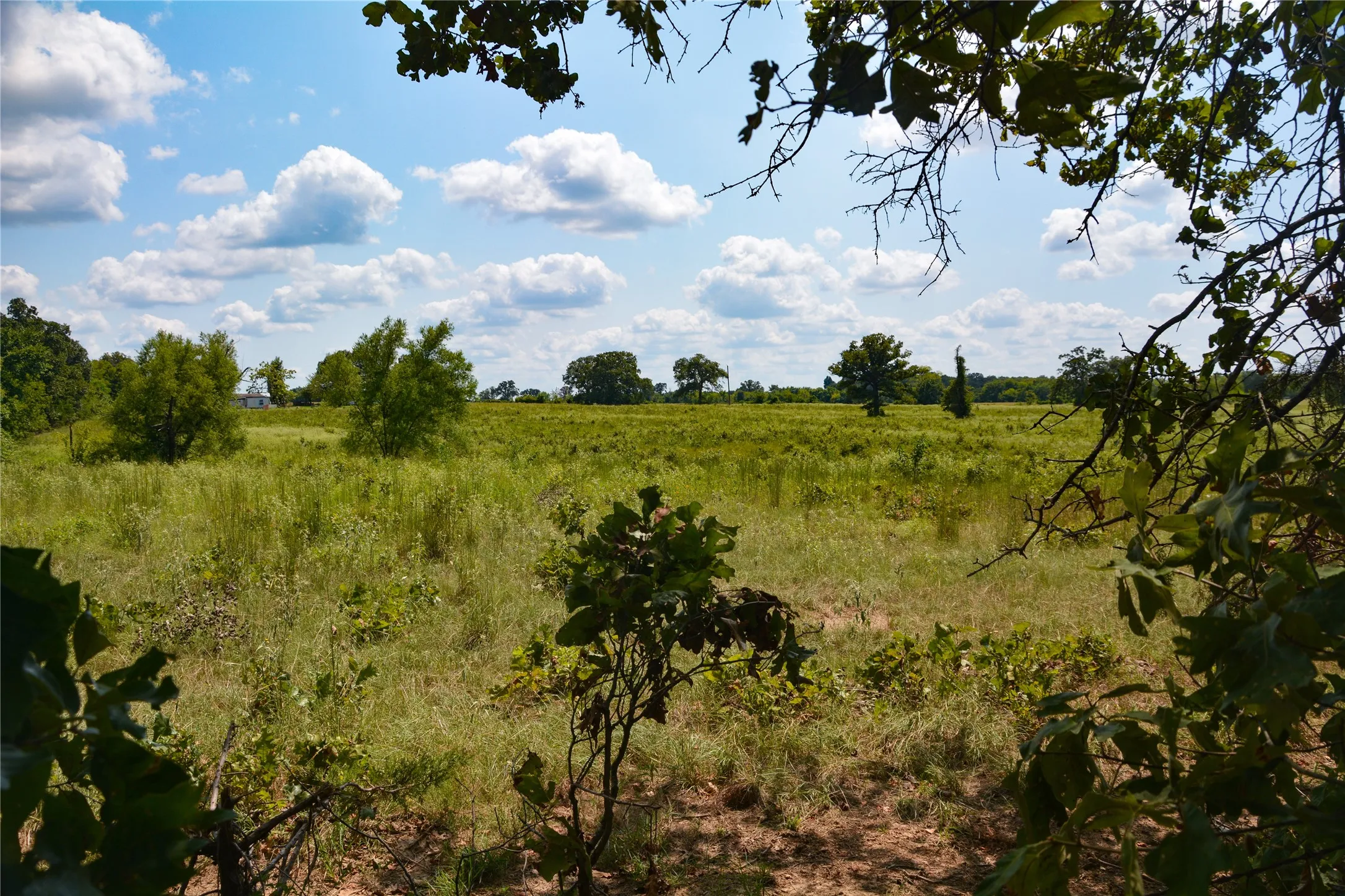 Ranch For Sale in Van Zandt County , TBD VZ County Road 1821, Grand Saline, Texas 75140, 0, 0, Garage spaces, 0 Sqft, built in 0, mls#21051402, Real Estate Agent in Grand Saline, Homes For Sale in Van Zandt county, Homes For Sale in Grand Saline, Realtor in Grand Saline Texas, Real Estate Brokerage Independent Realty Texas, Luminita Cordes Realtor