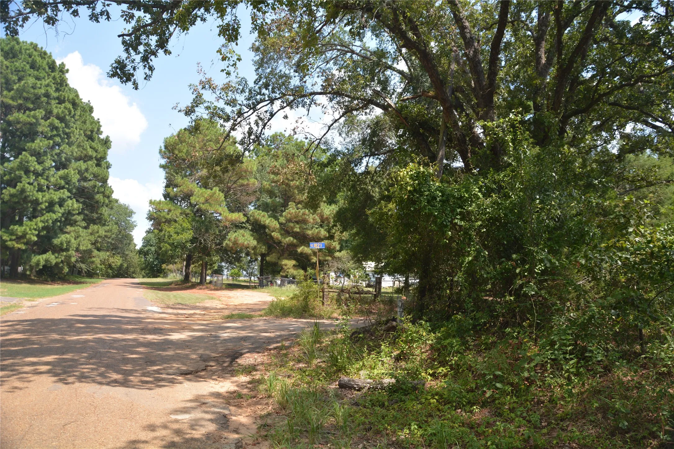 Ranch For Sale in Van Zandt County , TBD VZ County Road 1821, Grand Saline, Texas 75140, 0, 0, Garage spaces, 0 Sqft, built in 0, mls#21051402, Real Estate Agent in Grand Saline, Homes For Sale in Van Zandt county, Homes For Sale in Grand Saline, Realtor in Grand Saline Texas, Real Estate Brokerage Independent Realty Texas, Luminita Cordes Realtor