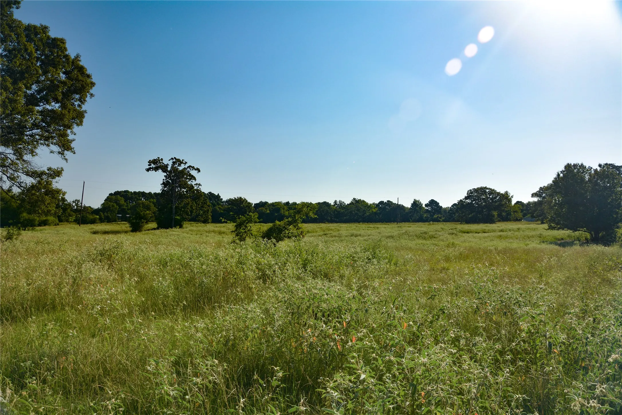 View of undeveloped land with rural landscape