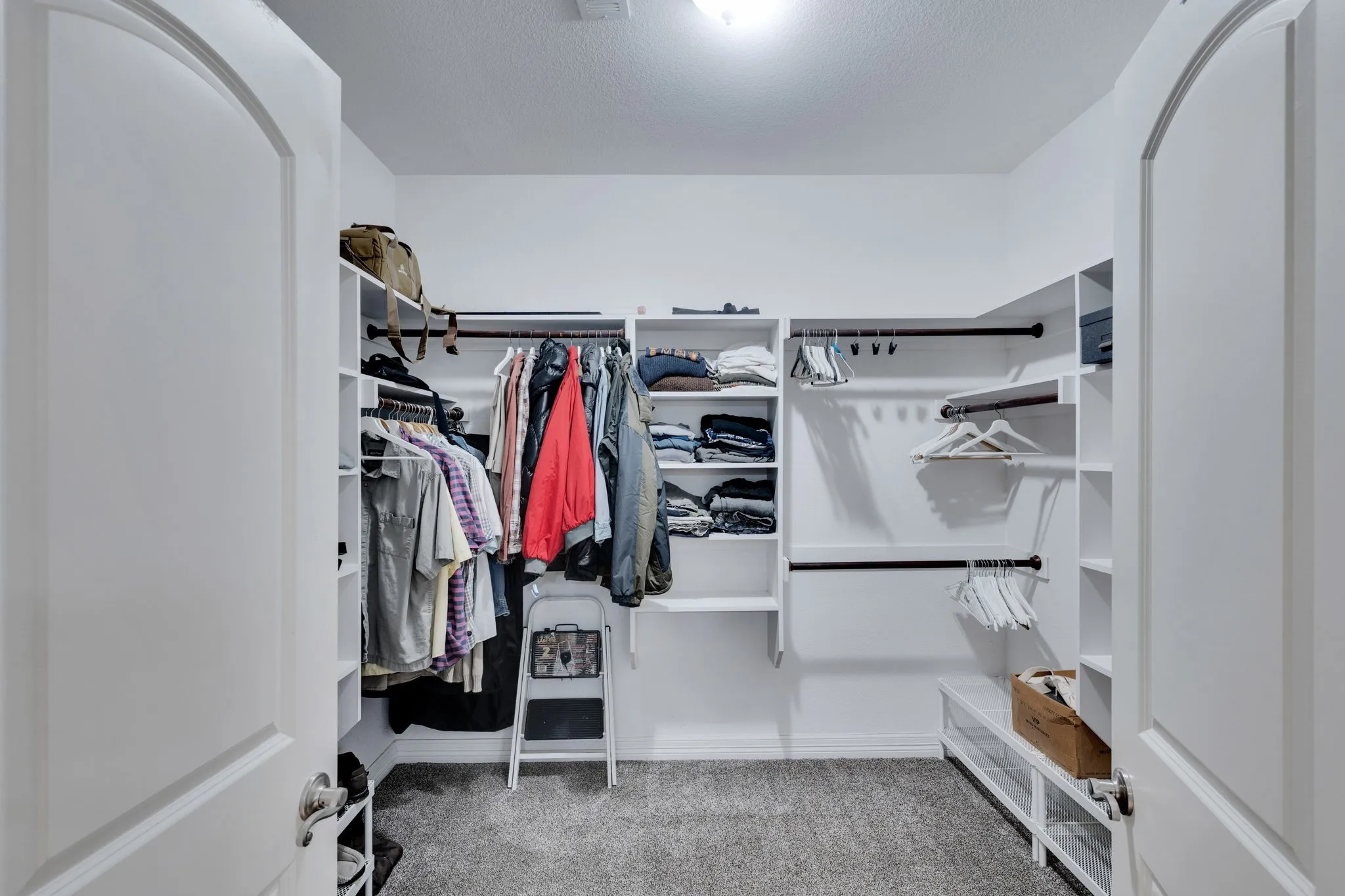 Spacious closet featuring light carpet