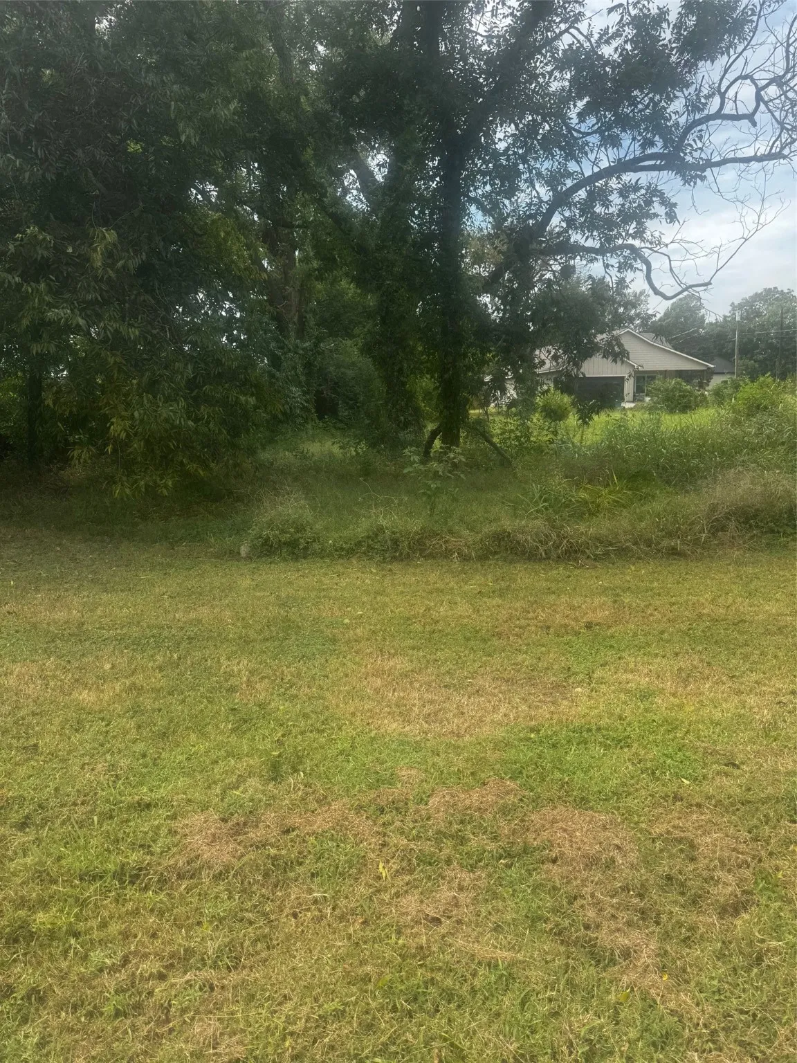 Unimproved Land For Sale in Johnson County , 105 S Brazos Avenue, Cleburne, Texas 76031, 0, 0, Garage spaces, 0 Sqft, built in 0, mls#21051916, Real Estate Agent in Cleburne, Homes For Sale in Johnson county, Homes For Sale in Cleburne, Realtor in Cleburne Texas, Real Estate Brokerage Independent Realty Texas, Luminita Cordes Realtor