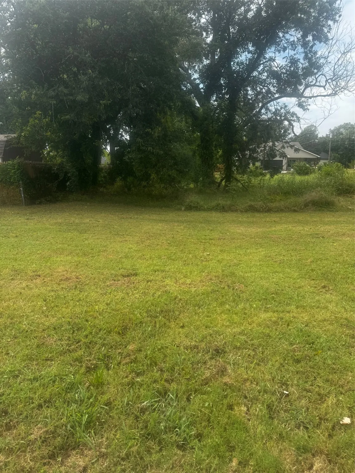 Unimproved Land For Sale in Johnson County , 105 S Brazos Avenue, Cleburne, Texas 76031, 0, 0, Garage spaces, 0 Sqft, built in 0, mls#21051916, Real Estate Agent in Cleburne, Homes For Sale in Johnson county, Homes For Sale in Cleburne, Realtor in Cleburne Texas, Real Estate Brokerage Independent Realty Texas, Luminita Cordes Realtor