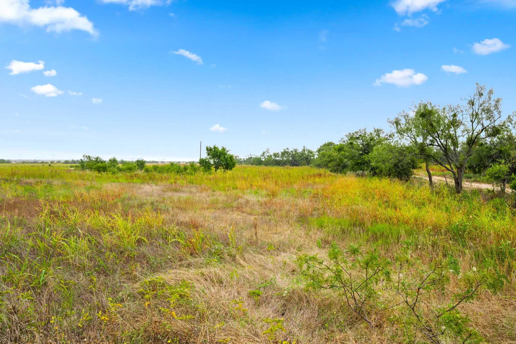 Unimproved Land For Sale in Callahan County , 7756 County Road 241, Clyde, Texas 79510, 0, 0, Garage spaces, 0 Sqft, built in 0, mls#21050624, Real Estate Agent in Clyde, Homes For Sale in Callahan county, Homes For Sale in Clyde, Realtor in Clyde Texas, Real Estate Brokerage Independent Realty Texas, Luminita Cordes Realtor
