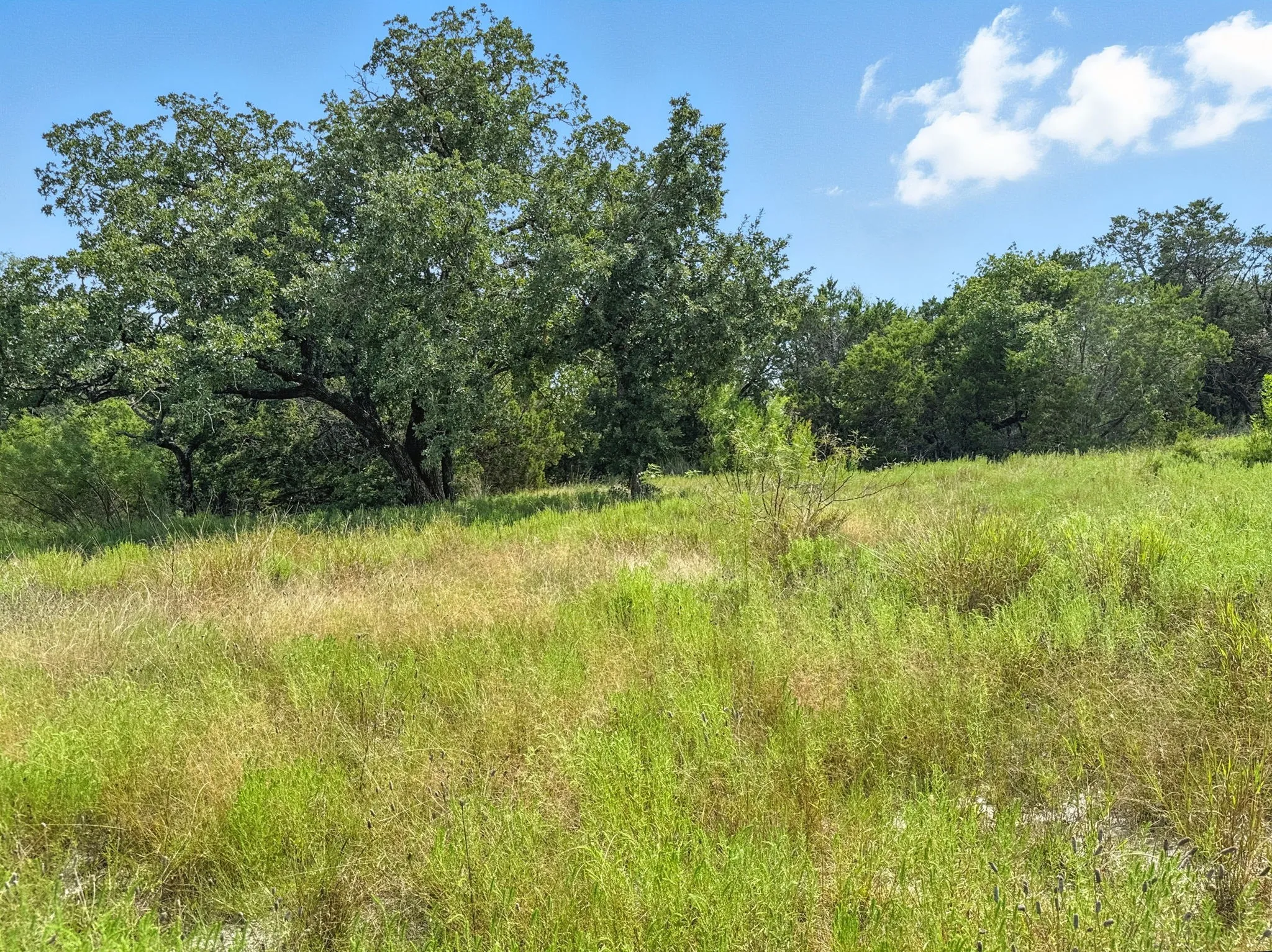 Unimproved Land For Sale in Hamilton County , Lot 39 Ph 6 Private Road 42103, Evant, Texas 76525, 0, 0, Garage spaces, 0 Sqft, built in 0, mls#21052062, Real Estate Agent in Evant, Homes For Sale in Hamilton county, Homes For Sale in Evant, Realtor in Evant Texas, Real Estate Brokerage Independent Realty Texas, Luminita Cordes Realtor