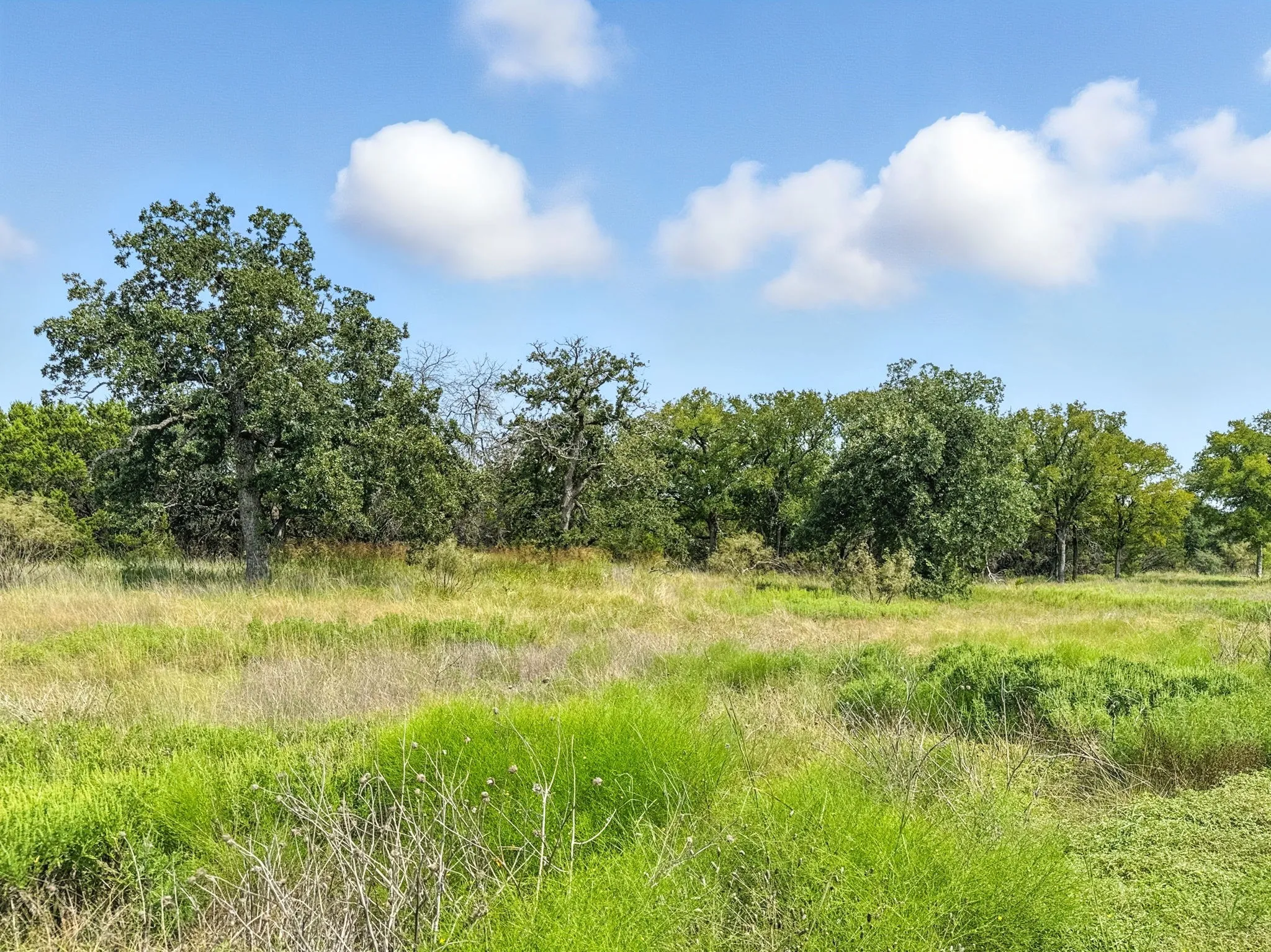 Unimproved Land For Sale in Hamilton County , Lot 39 Ph 6 Private Road 42103, Evant, Texas 76525, 0, 0, Garage spaces, 0 Sqft, built in 0, mls#21052062, Real Estate Agent in Evant, Homes For Sale in Hamilton county, Homes For Sale in Evant, Realtor in Evant Texas, Real Estate Brokerage Independent Realty Texas, Luminita Cordes Realtor
