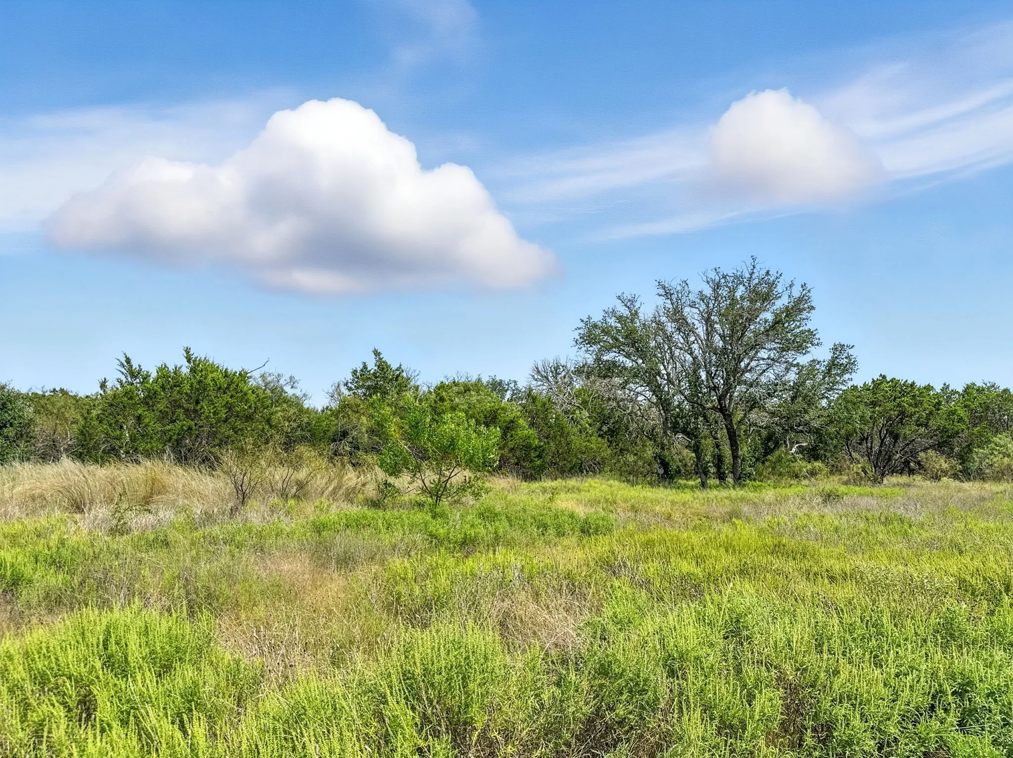 Unimproved Land For Sale in Hamilton County , Lot 39 Ph 6 Private Road 42103, Evant, Texas 76525, 0, 0, Garage spaces, 0 Sqft, built in 0, mls#21052062, Real Estate Agent in Evant, Homes For Sale in Hamilton county, Homes For Sale in Evant, Realtor in Evant Texas, Real Estate Brokerage Independent Realty Texas, Luminita Cordes Realtor