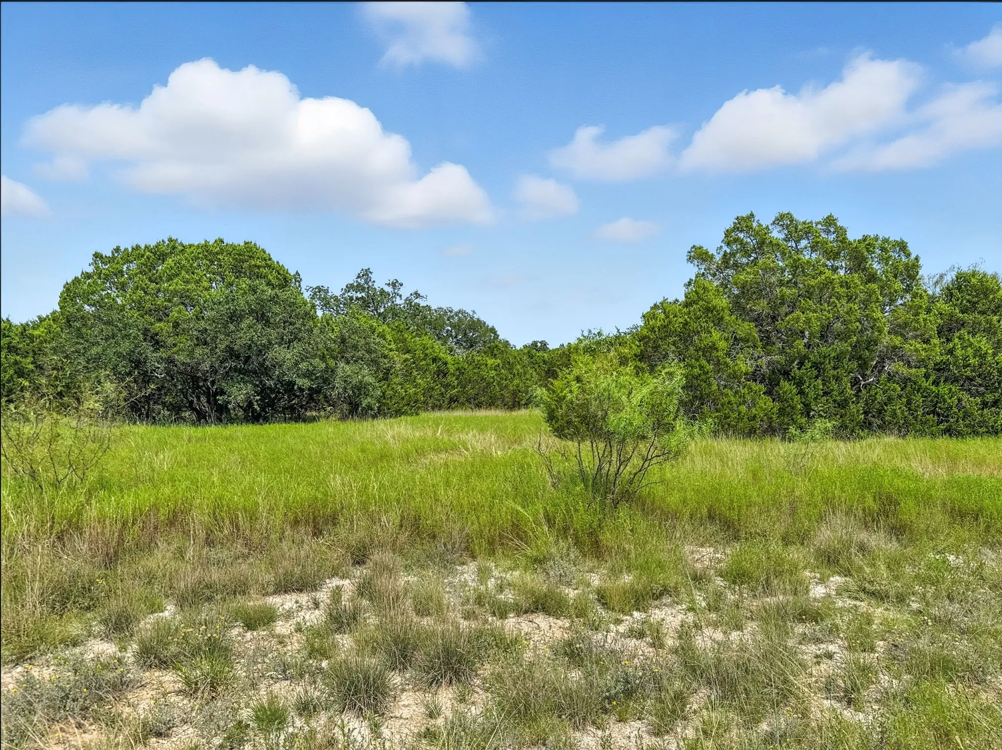 Unimproved Land For Sale in Hamilton County , Lot 39 Ph 6 Private Road 42103, Evant, Texas 76525, 0, 0, Garage spaces, 0 Sqft, built in 0, mls#21052062, Real Estate Agent in Evant, Homes For Sale in Hamilton county, Homes For Sale in Evant, Realtor in Evant Texas, Real Estate Brokerage Independent Realty Texas, Luminita Cordes Realtor