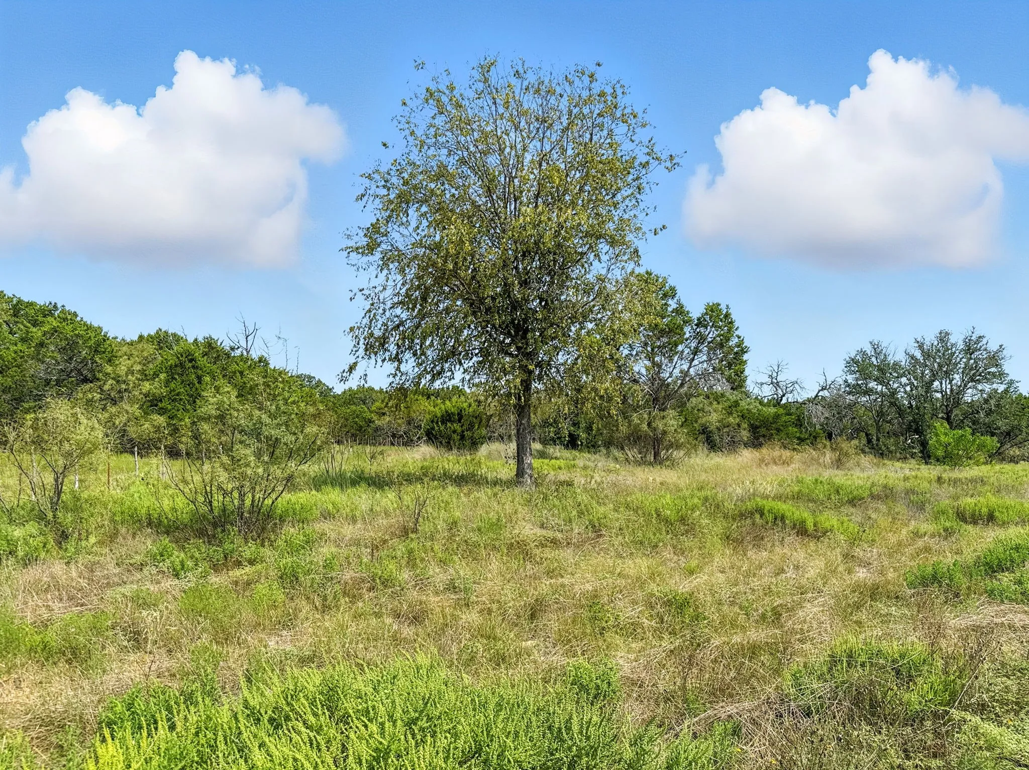 Unimproved Land For Sale in Hamilton County , Lot 39 Ph 6 Private Road 42103, Evant, Texas 76525, 0, 0, Garage spaces, 0 Sqft, built in 0, mls#21052062, Real Estate Agent in Evant, Homes For Sale in Hamilton county, Homes For Sale in Evant, Realtor in Evant Texas, Real Estate Brokerage Independent Realty Texas, Luminita Cordes Realtor