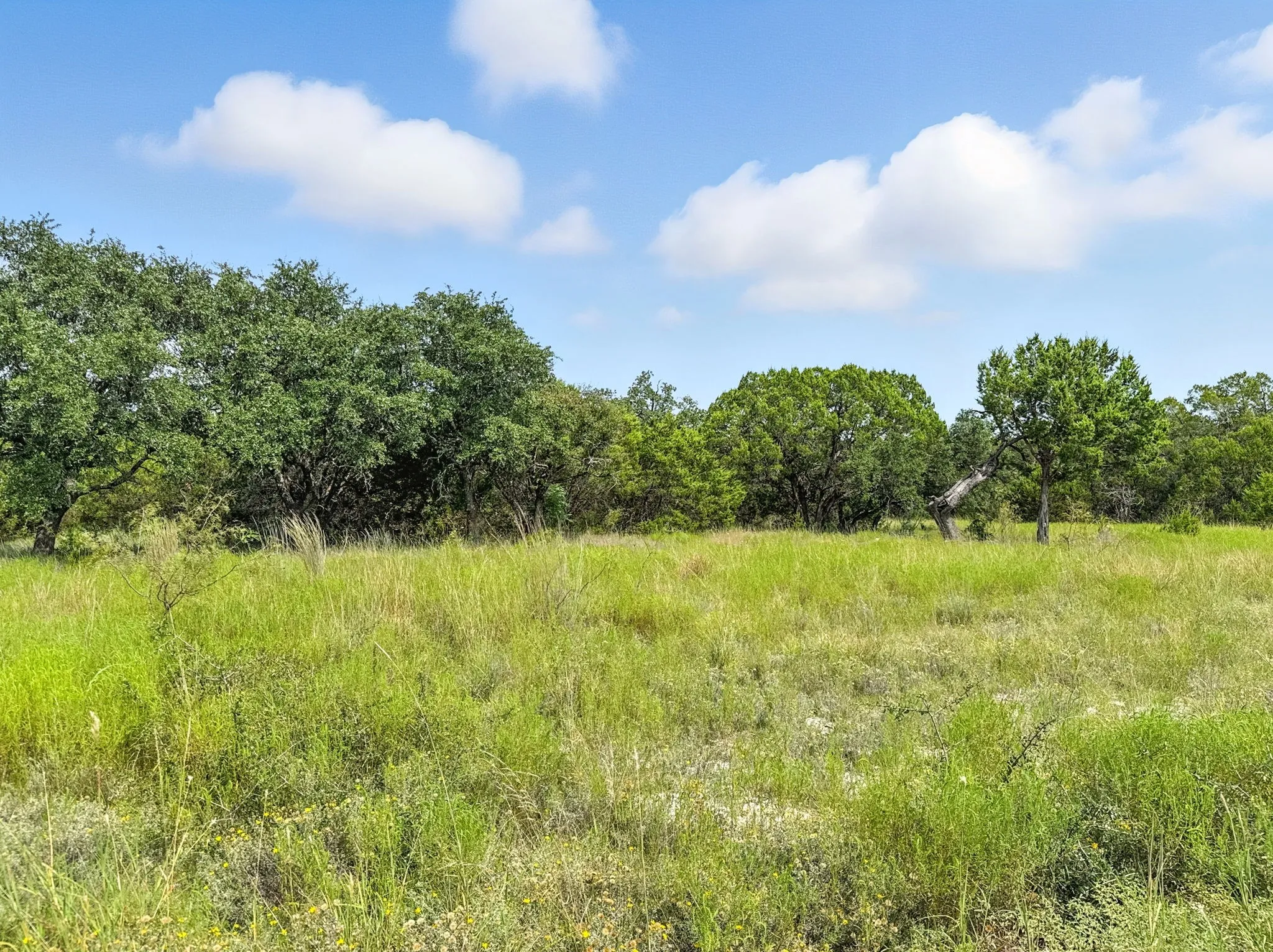 Unimproved Land For Sale in Hamilton County , Lot 39 Ph 6 Private Road 42103, Evant, Texas 76525, 0, 0, Garage spaces, 0 Sqft, built in 0, mls#21052062, Real Estate Agent in Evant, Homes For Sale in Hamilton county, Homes For Sale in Evant, Realtor in Evant Texas, Real Estate Brokerage Independent Realty Texas, Luminita Cordes Realtor