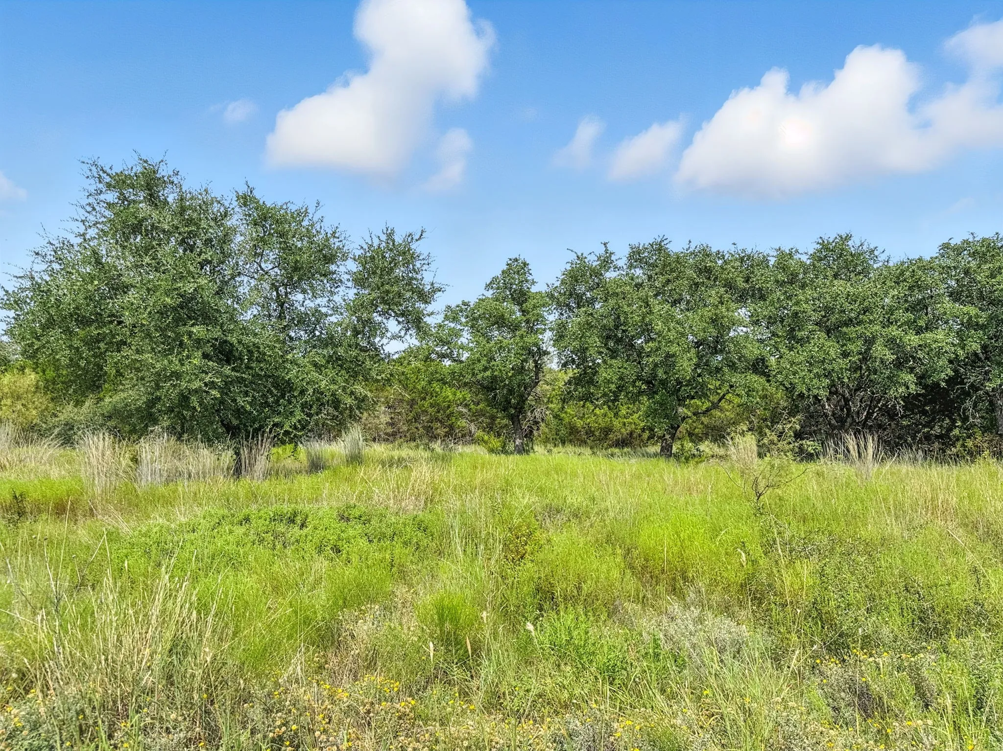 Unimproved Land For Sale in Hamilton County , Lot 39 Ph 6 Private Road 42103, Evant, Texas 76525, 0, 0, Garage spaces, 0 Sqft, built in 0, mls#21052062, Real Estate Agent in Evant, Homes For Sale in Hamilton county, Homes For Sale in Evant, Realtor in Evant Texas, Real Estate Brokerage Independent Realty Texas, Luminita Cordes Realtor