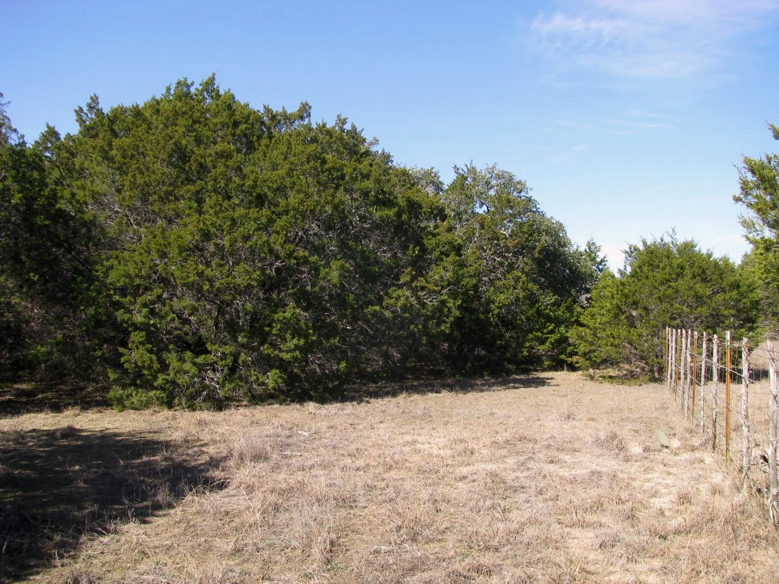 Unimproved Land For Sale in Hamilton County , Lot 39 Ph 6 Private Road 42103, Evant, Texas 76525, 0, 0, Garage spaces, 0 Sqft, built in 0, mls#21052062, Real Estate Agent in Evant, Homes For Sale in Hamilton county, Homes For Sale in Evant, Realtor in Evant Texas, Real Estate Brokerage Independent Realty Texas, Luminita Cordes Realtor