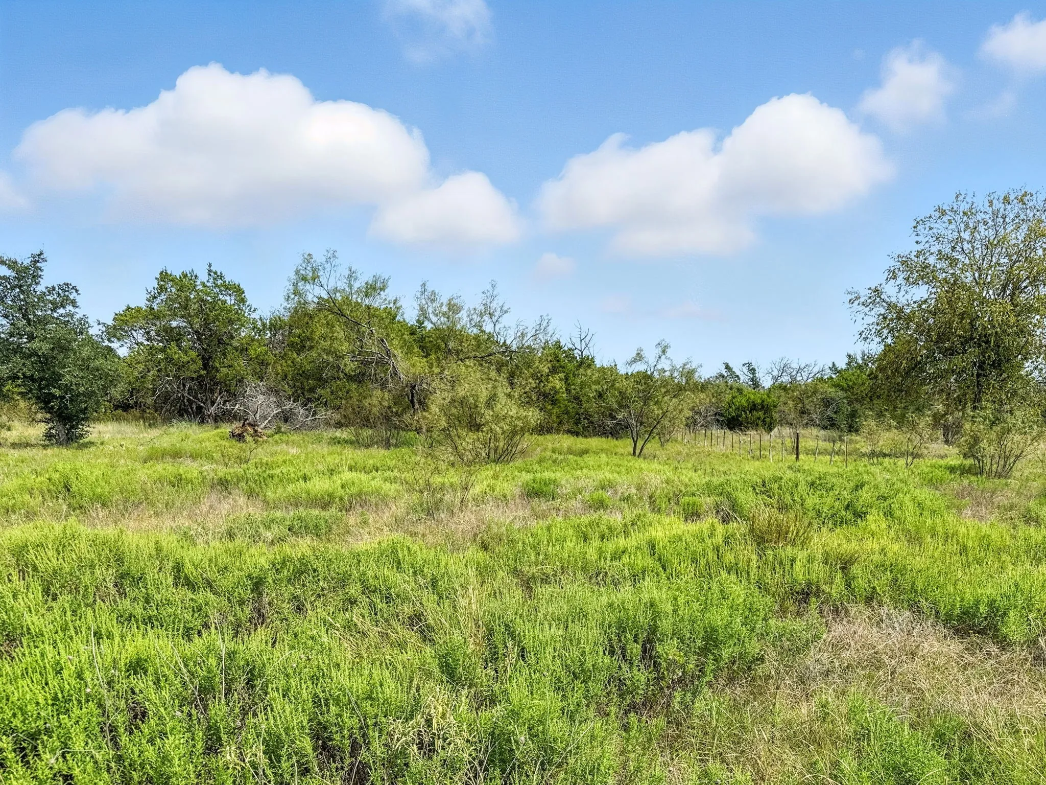 Unimproved Land For Sale in Hamilton County , Lot 39 Ph 6 Private Road 42103, Evant, Texas 76525, 0, 0, Garage spaces, 0 Sqft, built in 0, mls#21052062, Real Estate Agent in Evant, Homes For Sale in Hamilton county, Homes For Sale in Evant, Realtor in Evant Texas, Real Estate Brokerage Independent Realty Texas, Luminita Cordes Realtor