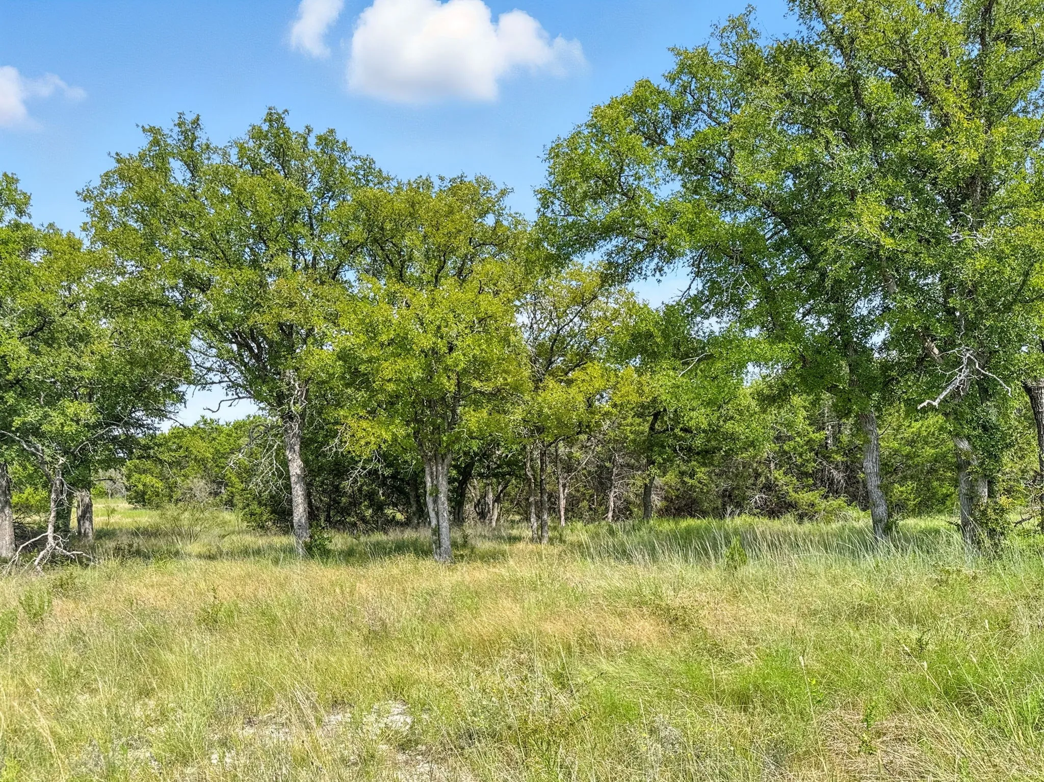 Unimproved Land For Sale in Hamilton County , Lot 39 Ph 6 Private Road 42103, Evant, Texas 76525, 0, 0, Garage spaces, 0 Sqft, built in 0, mls#21052062, Real Estate Agent in Evant, Homes For Sale in Hamilton county, Homes For Sale in Evant, Realtor in Evant Texas, Real Estate Brokerage Independent Realty Texas, Luminita Cordes Realtor
