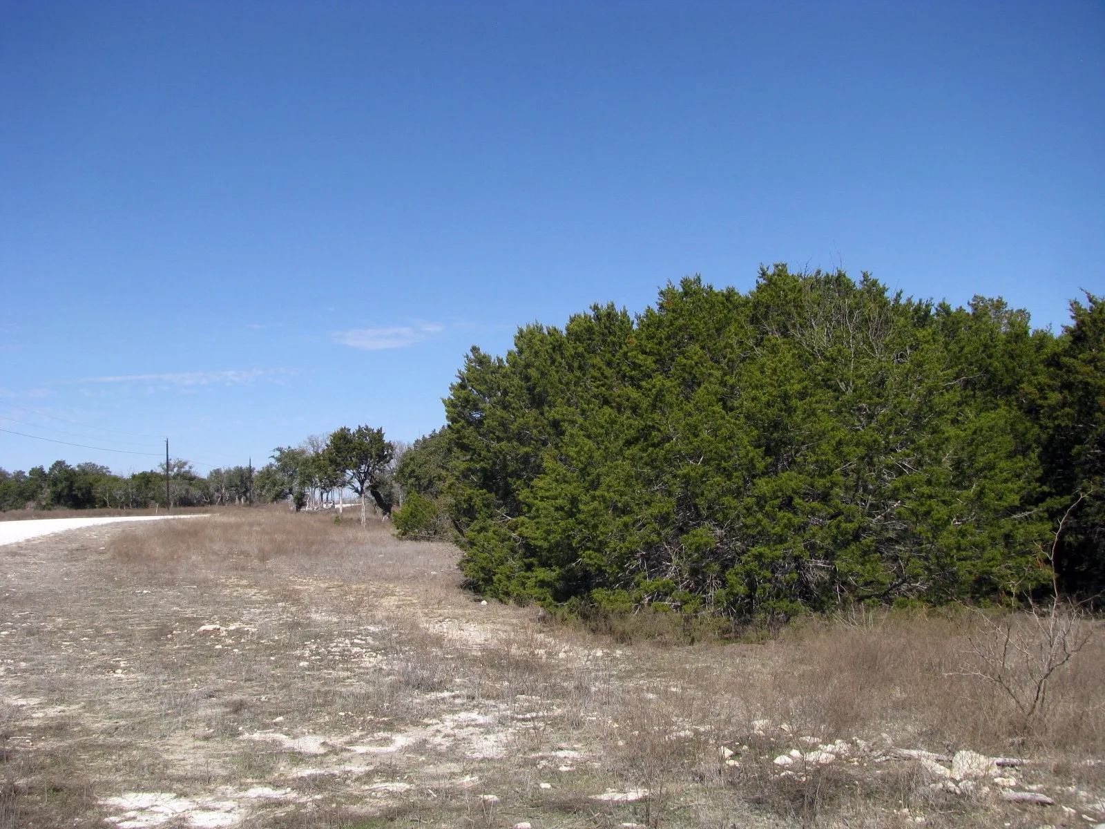 Unimproved Land For Sale in Hamilton County , Lot 39 Ph 6 Private Road 42103, Evant, Texas 76525, 0, 0, Garage spaces, 0 Sqft, built in 0, mls#21052062, Real Estate Agent in Evant, Homes For Sale in Hamilton county, Homes For Sale in Evant, Realtor in Evant Texas, Real Estate Brokerage Independent Realty Texas, Luminita Cordes Realtor