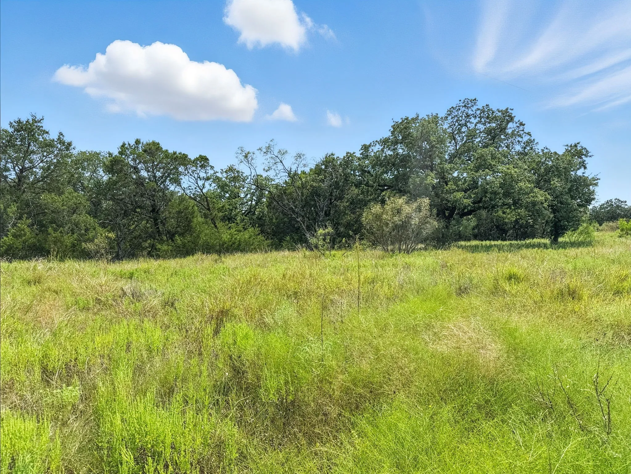 Unimproved Land For Sale in Hamilton County , Lot 39 Ph 6 Private Road 42103, Evant, Texas 76525, 0, 0, Garage spaces, 0 Sqft, built in 0, mls#21052062, Real Estate Agent in Evant, Homes For Sale in Hamilton county, Homes For Sale in Evant, Realtor in Evant Texas, Real Estate Brokerage Independent Realty Texas, Luminita Cordes Realtor