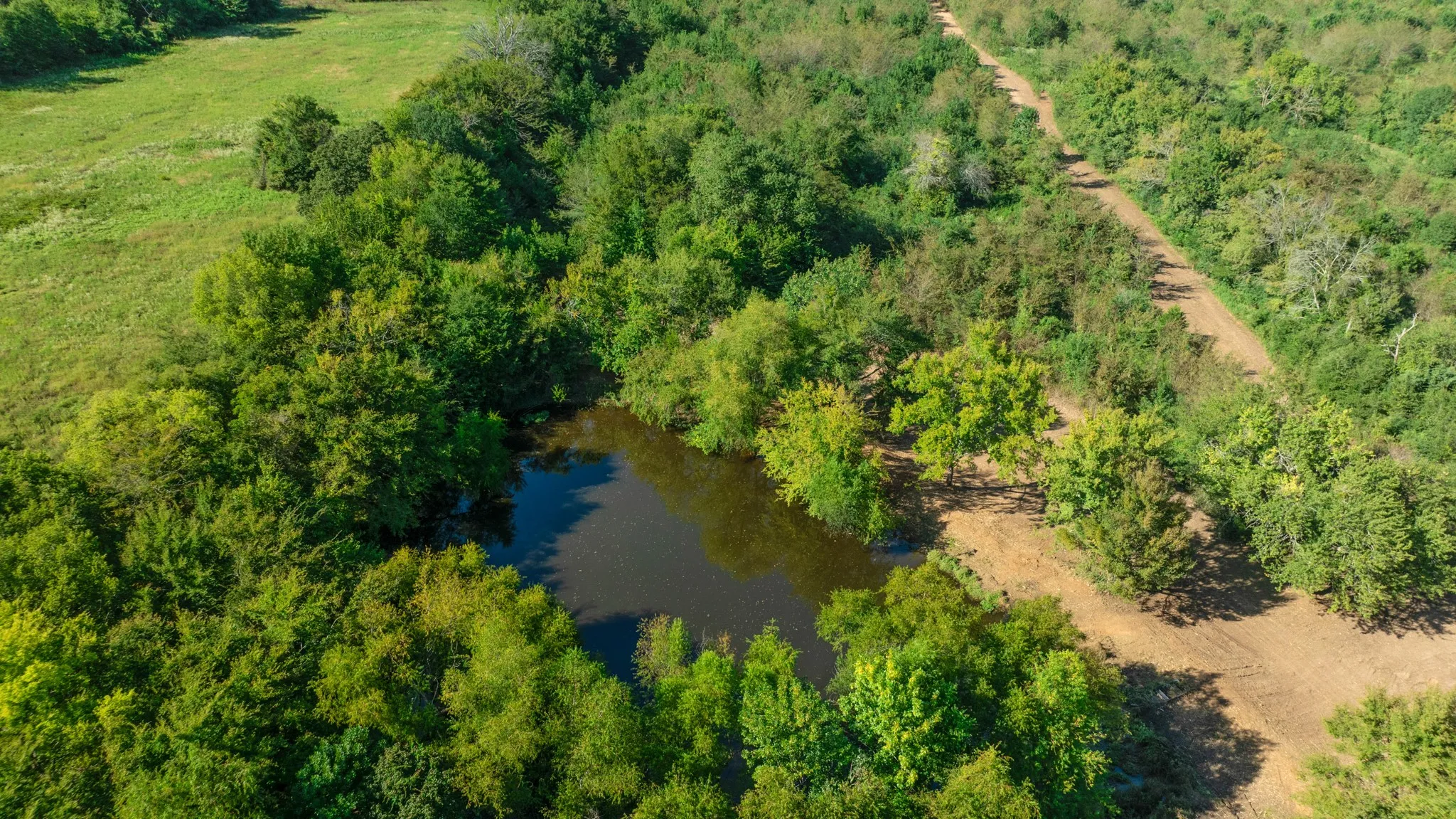 Unimproved Land For Sale in Lamar County , TBD FR 194, Blossom, Texas 75416, 0, 0, Garage spaces, 0 Sqft, built in 0, mls#21050966, Real Estate Agent in Blossom, Homes For Sale in Lamar county, Homes For Sale in Blossom, Realtor in Blossom Texas, Real Estate Brokerage Independent Realty Texas, Luminita Cordes Realtor