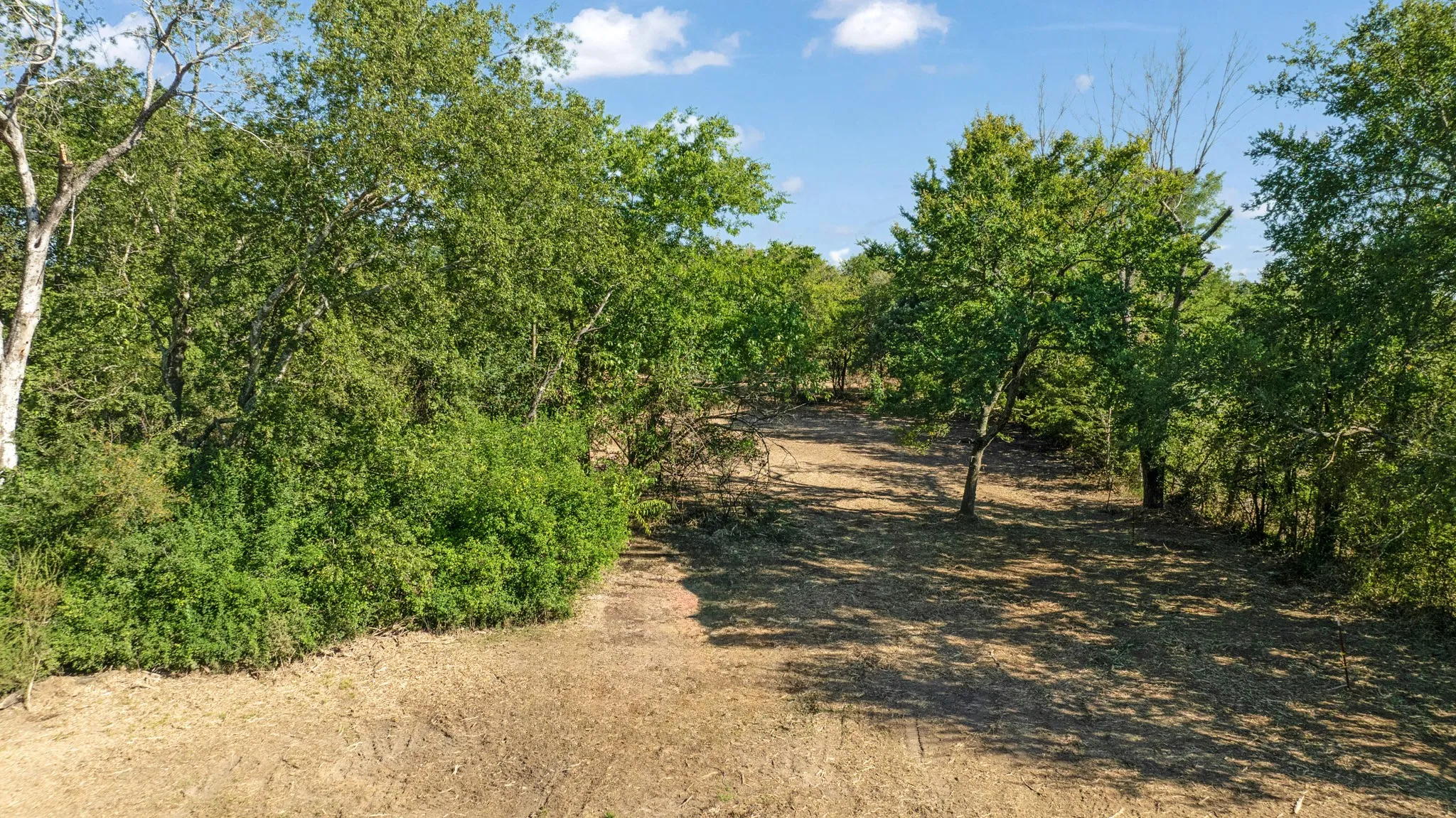 Unimproved Land For Sale in Lamar County , TBD FR 194, Blossom, Texas 75416, 0, 0, Garage spaces, 0 Sqft, built in 0, mls#21050966, Real Estate Agent in Blossom, Homes For Sale in Lamar county, Homes For Sale in Blossom, Realtor in Blossom Texas, Real Estate Brokerage Independent Realty Texas, Luminita Cordes Realtor