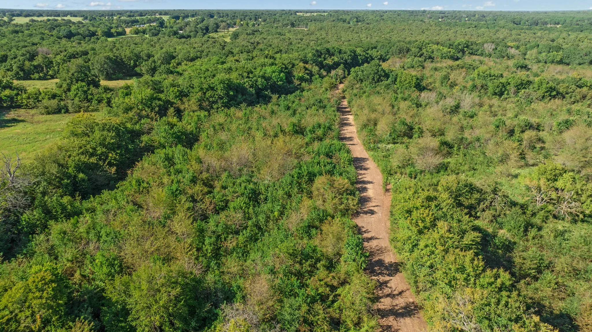 Unimproved Land For Sale in Lamar County , TBD FR 194, Blossom, Texas 75416, 0, 0, Garage spaces, 0 Sqft, built in 0, mls#21050966, Real Estate Agent in Blossom, Homes For Sale in Lamar county, Homes For Sale in Blossom, Realtor in Blossom Texas, Real Estate Brokerage Independent Realty Texas, Luminita Cordes Realtor