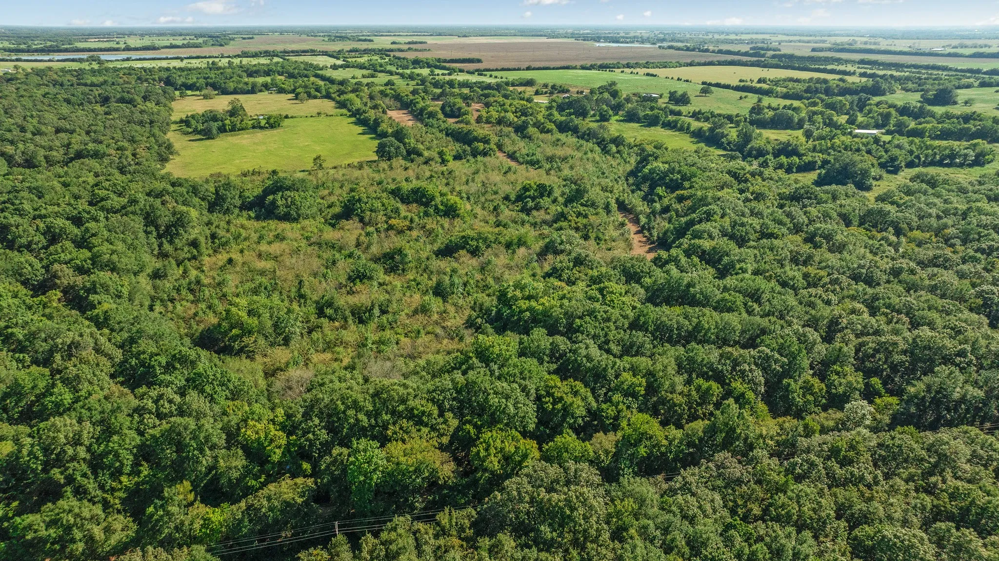 Unimproved Land For Sale in Lamar County , TBD FR 194, Blossom, Texas 75416, 0, 0, Garage spaces, 0 Sqft, built in 0, mls#21050966, Real Estate Agent in Blossom, Homes For Sale in Lamar county, Homes For Sale in Blossom, Realtor in Blossom Texas, Real Estate Brokerage Independent Realty Texas, Luminita Cordes Realtor