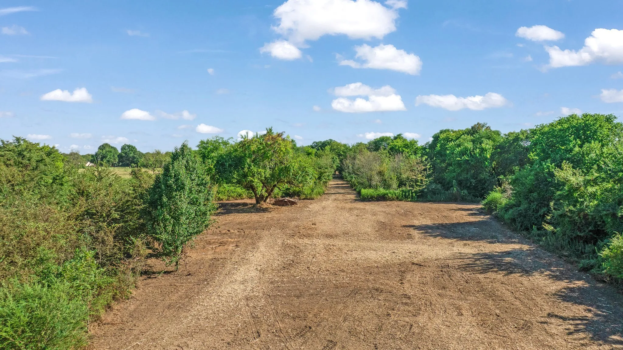 Unimproved Land For Sale in Lamar County , TBD FR 194, Blossom, Texas 75416, 0, 0, Garage spaces, 0 Sqft, built in 0, mls#21050966, Real Estate Agent in Blossom, Homes For Sale in Lamar county, Homes For Sale in Blossom, Realtor in Blossom Texas, Real Estate Brokerage Independent Realty Texas, Luminita Cordes Realtor