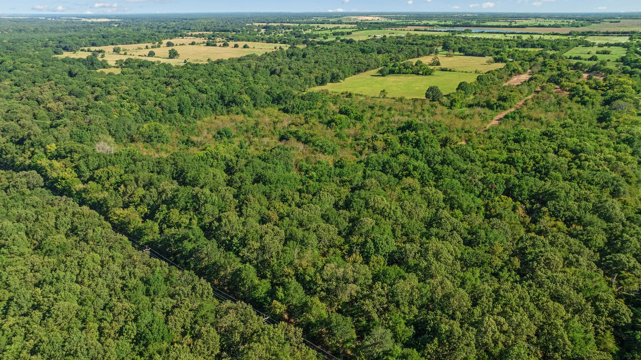 Unimproved Land For Sale in Lamar County , TBD FR 194, Blossom, Texas 75416, 0, 0, Garage spaces, 0 Sqft, built in 0, mls#21050966, Real Estate Agent in Blossom, Homes For Sale in Lamar county, Homes For Sale in Blossom, Realtor in Blossom Texas, Real Estate Brokerage Independent Realty Texas, Luminita Cordes Realtor