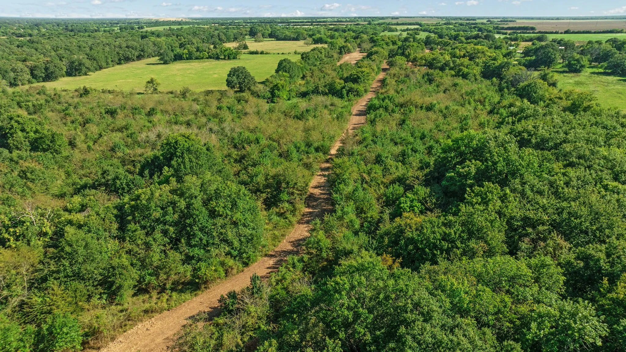 Unimproved Land For Sale in Lamar County , TBD FR 194, Blossom, Texas 75416, 0, 0, Garage spaces, 0 Sqft, built in 0, mls#21050966, Real Estate Agent in Blossom, Homes For Sale in Lamar county, Homes For Sale in Blossom, Realtor in Blossom Texas, Real Estate Brokerage Independent Realty Texas, Luminita Cordes Realtor