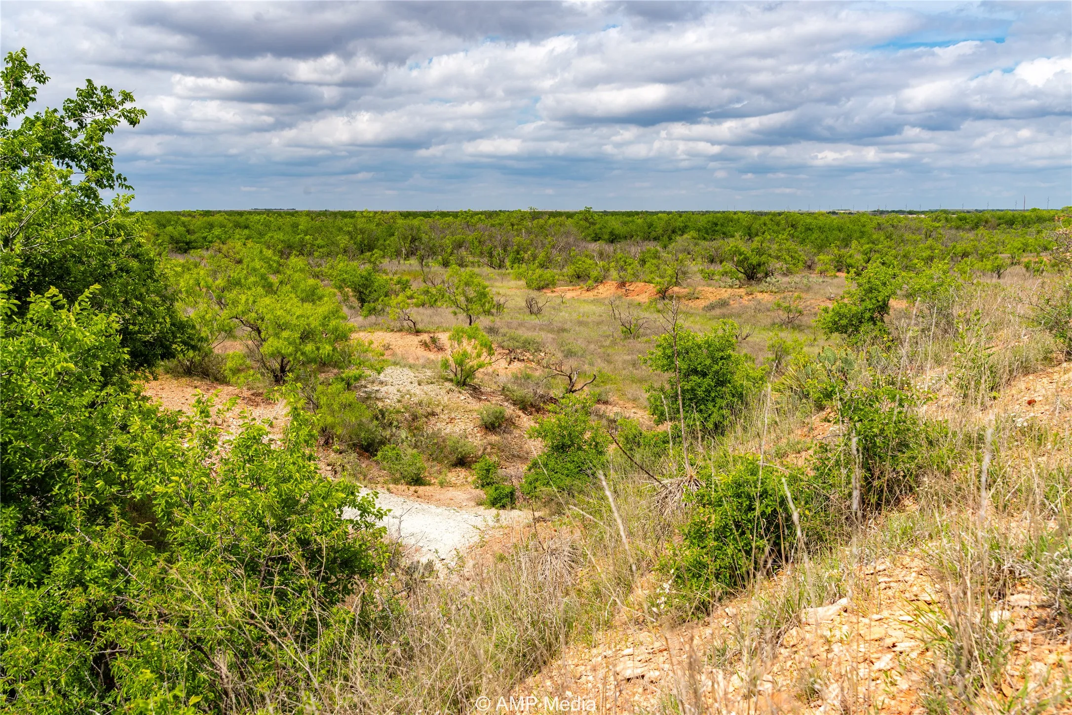 Ranch For Sale in Jones County , TBD CR 195, Anson, Texas 79501, 0, 0, Garage spaces, 0 Sqft, built in 0, Price $520,950, mls#21052209, Real Estate Agent in Anson, Homes For Sale in Jones county, Homes For Sale in Anson, Realtor in Anson Texas, Real Estate Brokerage Independent Realty Texas, Luminita Cordes Realtor