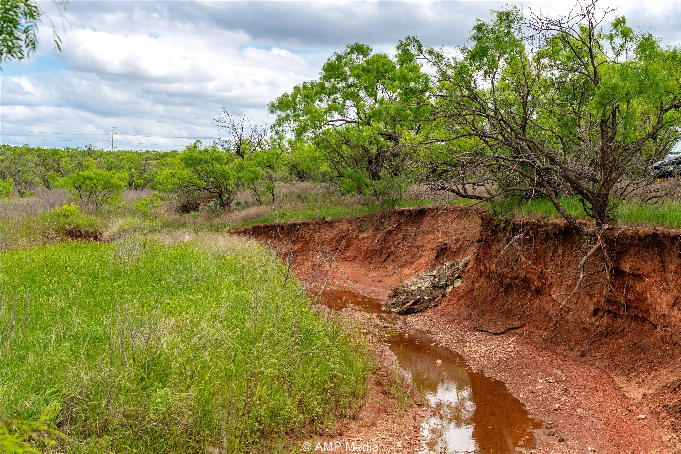 Ranch For Sale in Jones County , TBD CR 195, Anson, Texas 79501, 0, 0, Garage spaces, 0 Sqft, built in 0, Price $520,950, mls#21052209, Real Estate Agent in Anson, Homes For Sale in Jones county, Homes For Sale in Anson, Realtor in Anson Texas, Real Estate Brokerage Independent Realty Texas, Luminita Cordes Realtor