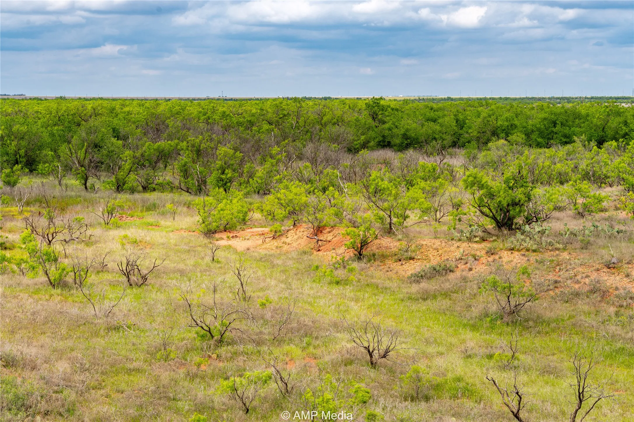 Ranch For Sale in Jones County , TBD CR 195, Anson, Texas 79501, 0, 0, Garage spaces, 0 Sqft, built in 0, Price $520,950, mls#21052209, Real Estate Agent in Anson, Homes For Sale in Jones county, Homes For Sale in Anson, Realtor in Anson Texas, Real Estate Brokerage Independent Realty Texas, Luminita Cordes Realtor