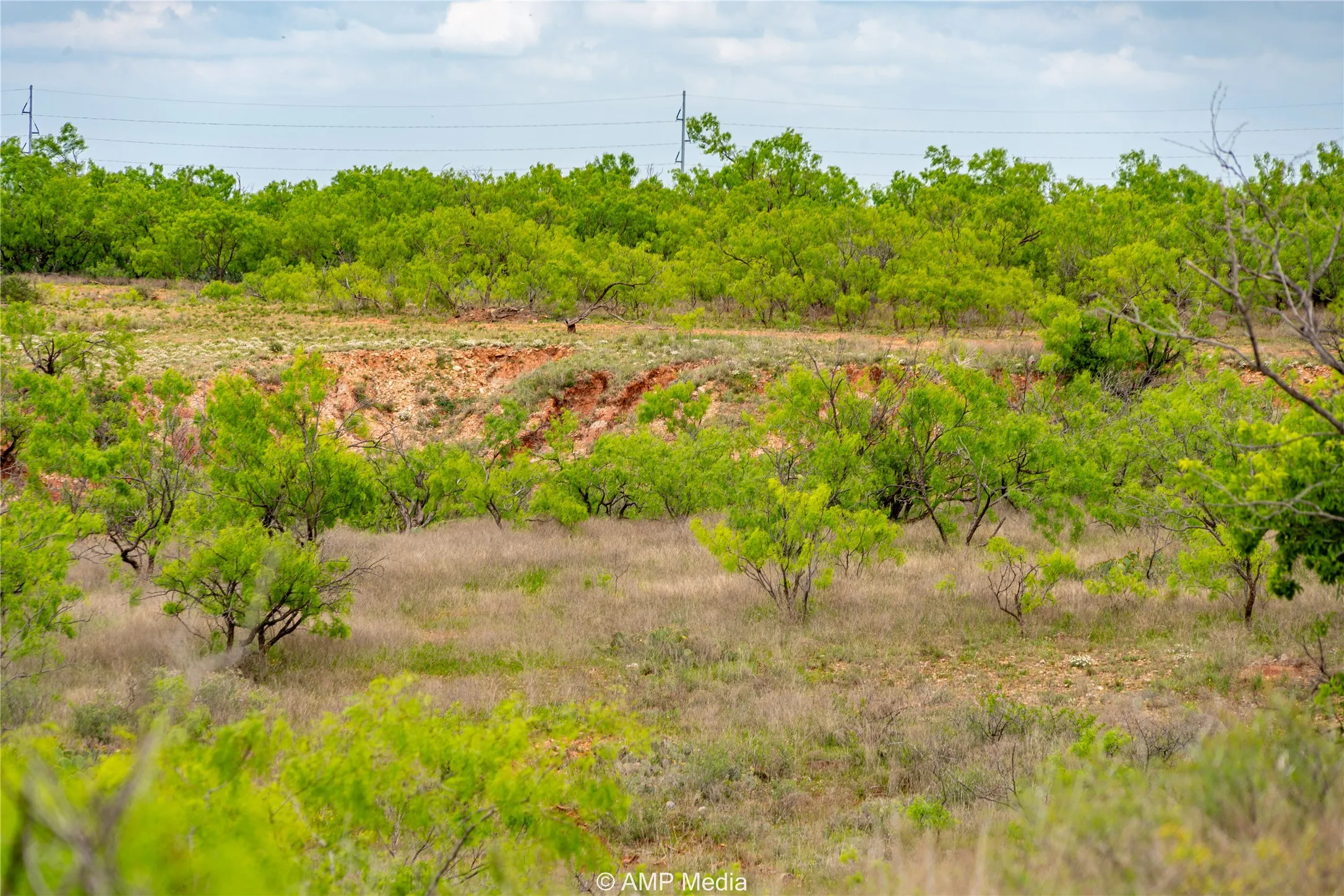 Ranch For Sale in Jones County , TBD CR 195, Anson, Texas 79501, 0, 0, Garage spaces, 0 Sqft, built in 0, Price $520,950, mls#21052209, Real Estate Agent in Anson, Homes For Sale in Jones county, Homes For Sale in Anson, Realtor in Anson Texas, Real Estate Brokerage Independent Realty Texas, Luminita Cordes Realtor