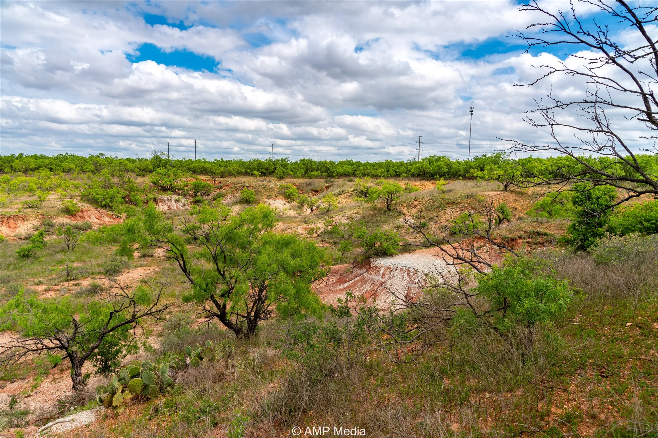 Ranch For Sale in Jones County , TBD CR 195, Anson, Texas 79501, 0, 0, Garage spaces, 0 Sqft, built in 0, Price $520,950, mls#21052209, Real Estate Agent in Anson, Homes For Sale in Jones county, Homes For Sale in Anson, Realtor in Anson Texas, Real Estate Brokerage Independent Realty Texas, Luminita Cordes Realtor