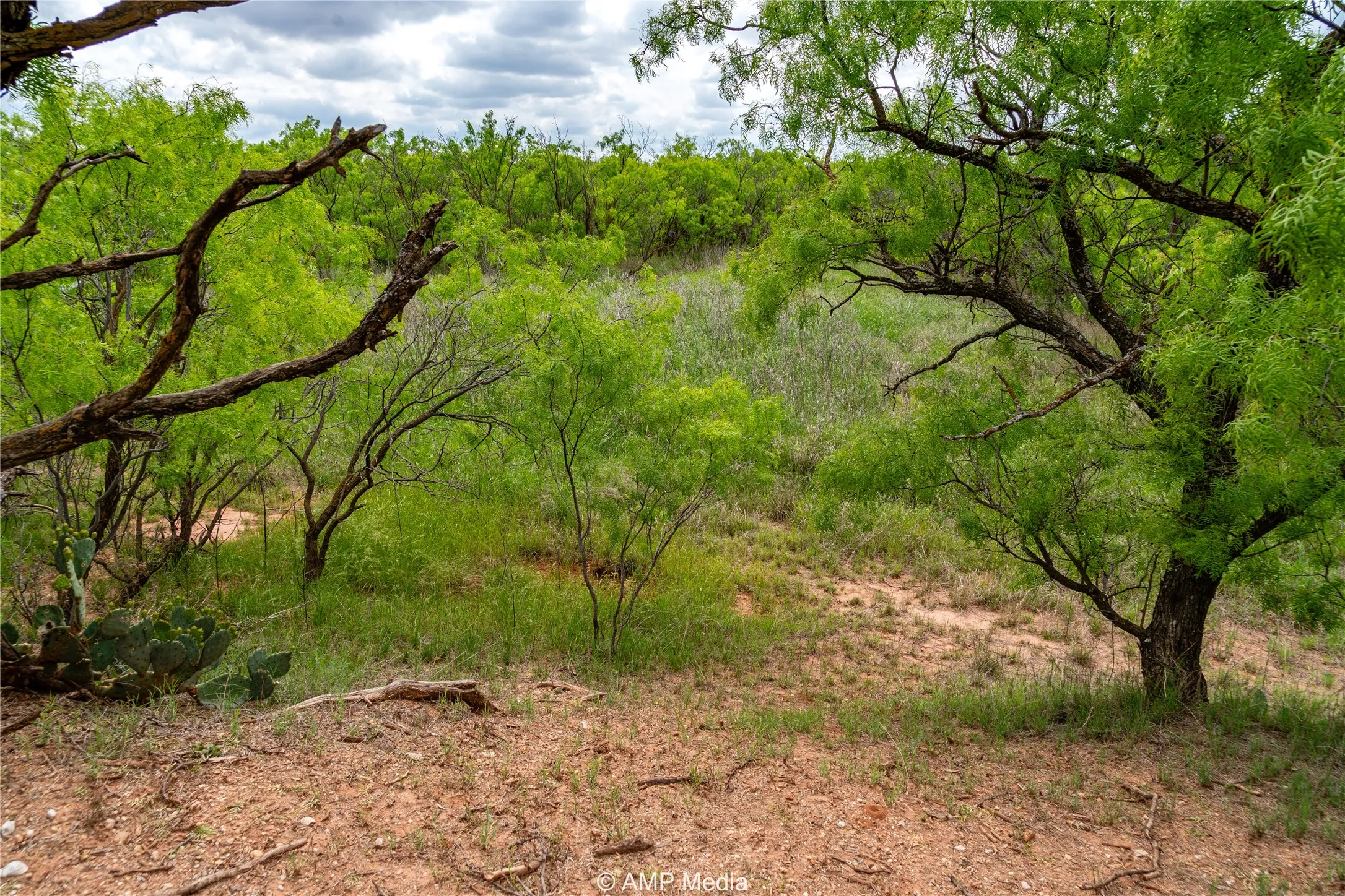 Ranch For Sale in Jones County , TBD CR 195, Anson, Texas 79501, 0, 0, Garage spaces, 0 Sqft, built in 0, Price $520,950, mls#21052209, Real Estate Agent in Anson, Homes For Sale in Jones county, Homes For Sale in Anson, Realtor in Anson Texas, Real Estate Brokerage Independent Realty Texas, Luminita Cordes Realtor