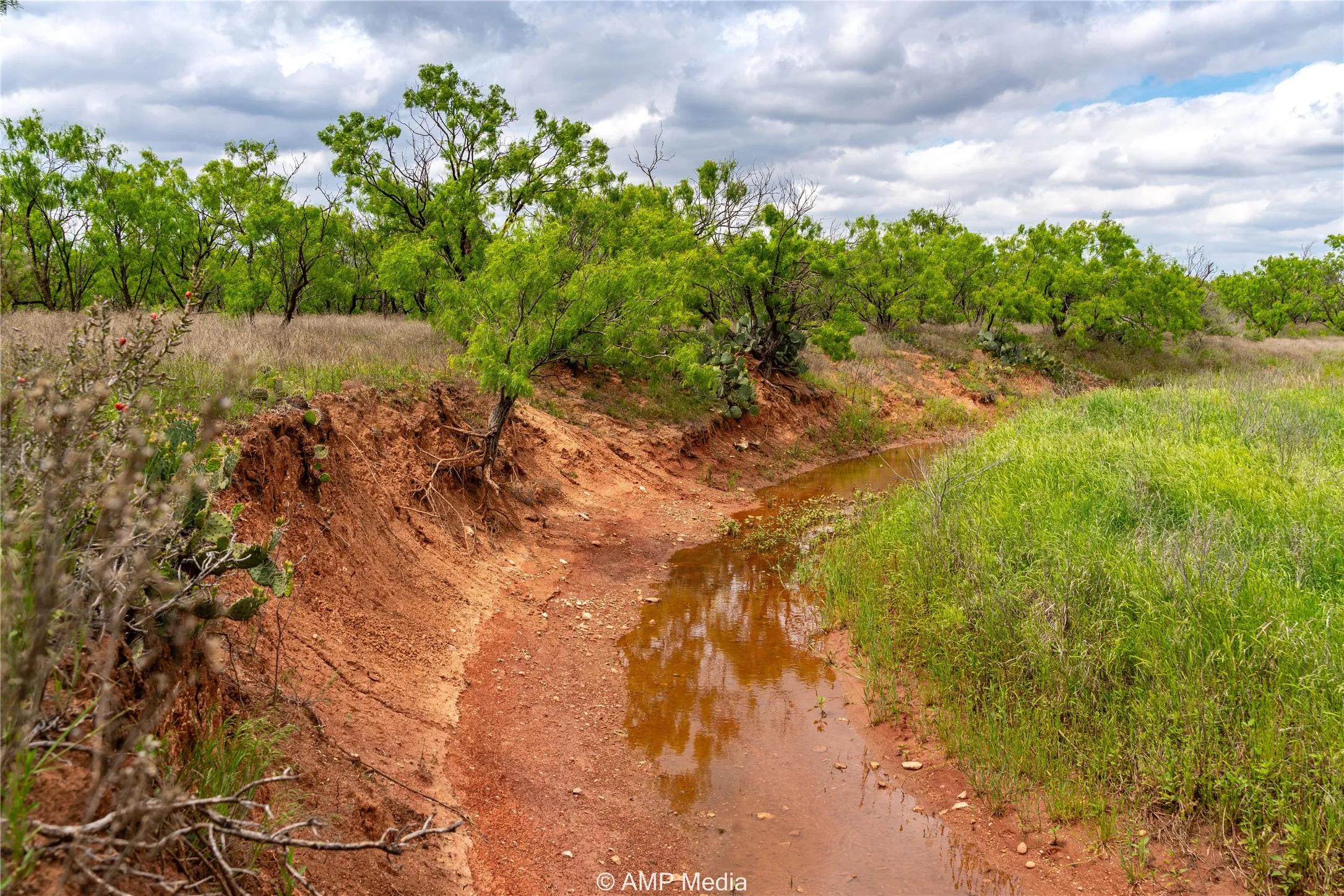Ranch For Sale in Jones County , TBD CR 195, Anson, Texas 79501, 0, 0, Garage spaces, 0 Sqft, built in 0, Price $520,950, mls#21052209, Real Estate Agent in Anson, Homes For Sale in Jones county, Homes For Sale in Anson, Realtor in Anson Texas, Real Estate Brokerage Independent Realty Texas, Luminita Cordes Realtor