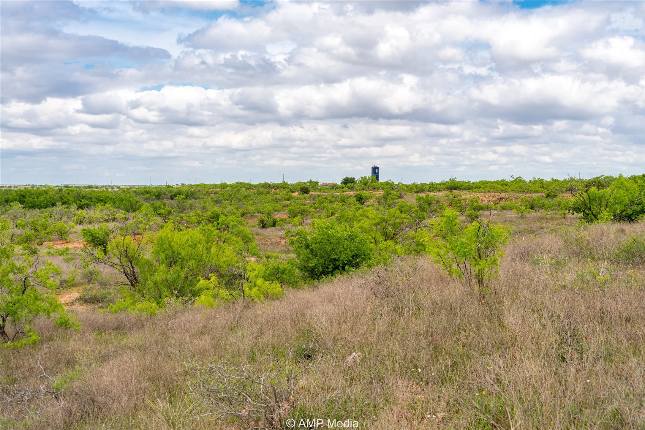 Ranch For Sale in Jones County , TBD CR 195, Anson, Texas 79501, 0, 0, Garage spaces, 0 Sqft, built in 0, Price $520,950, mls#21052209, Real Estate Agent in Anson, Homes For Sale in Jones county, Homes For Sale in Anson, Realtor in Anson Texas, Real Estate Brokerage Independent Realty Texas, Luminita Cordes Realtor