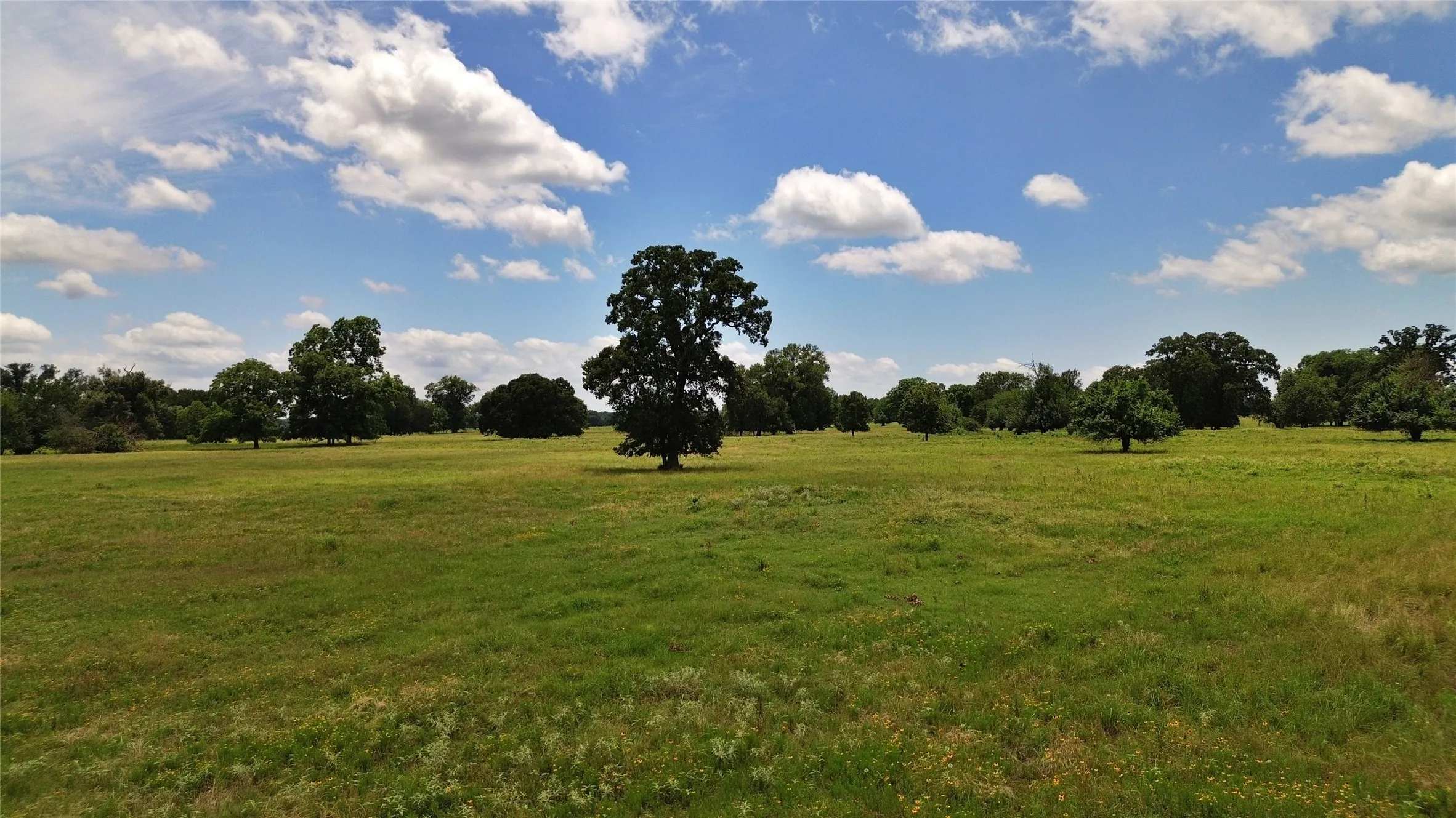 Ranch For Sale in Delta County , 695 County Road 1210, Lake Creek, Texas 75450, 0, 0, Garage spaces, 0 Sqft, built in 2000, Price $2,429,375, mls#21052676, Real Estate Agent in Lake Creek, Homes For Sale in Delta county, Homes For Sale in Lake Creek, Realtor in Lake Creek Texas, Real Estate Brokerage Independent Realty Texas, Luminita Cordes Realtor